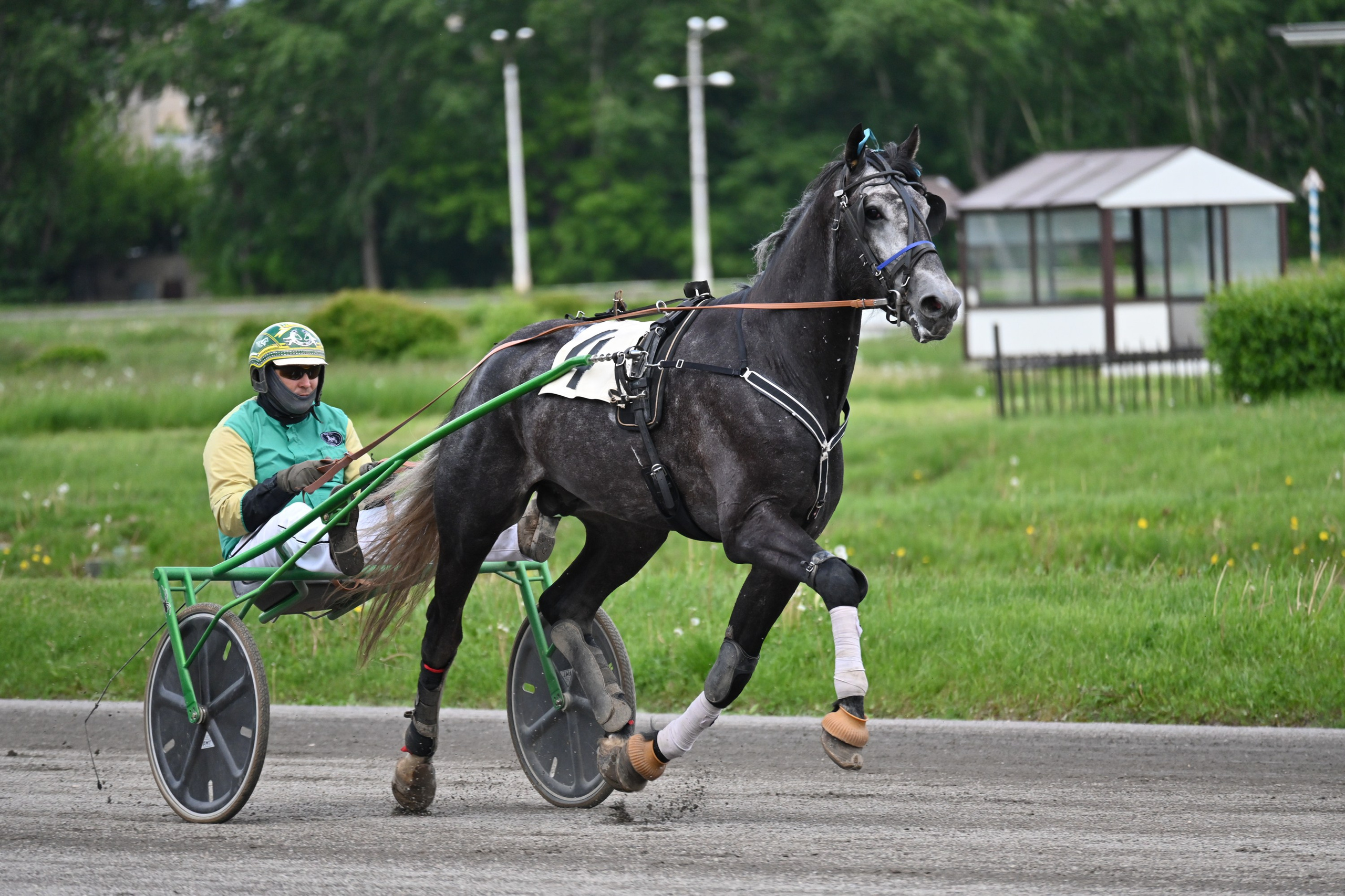 Ипподром (Москва). Fotolux