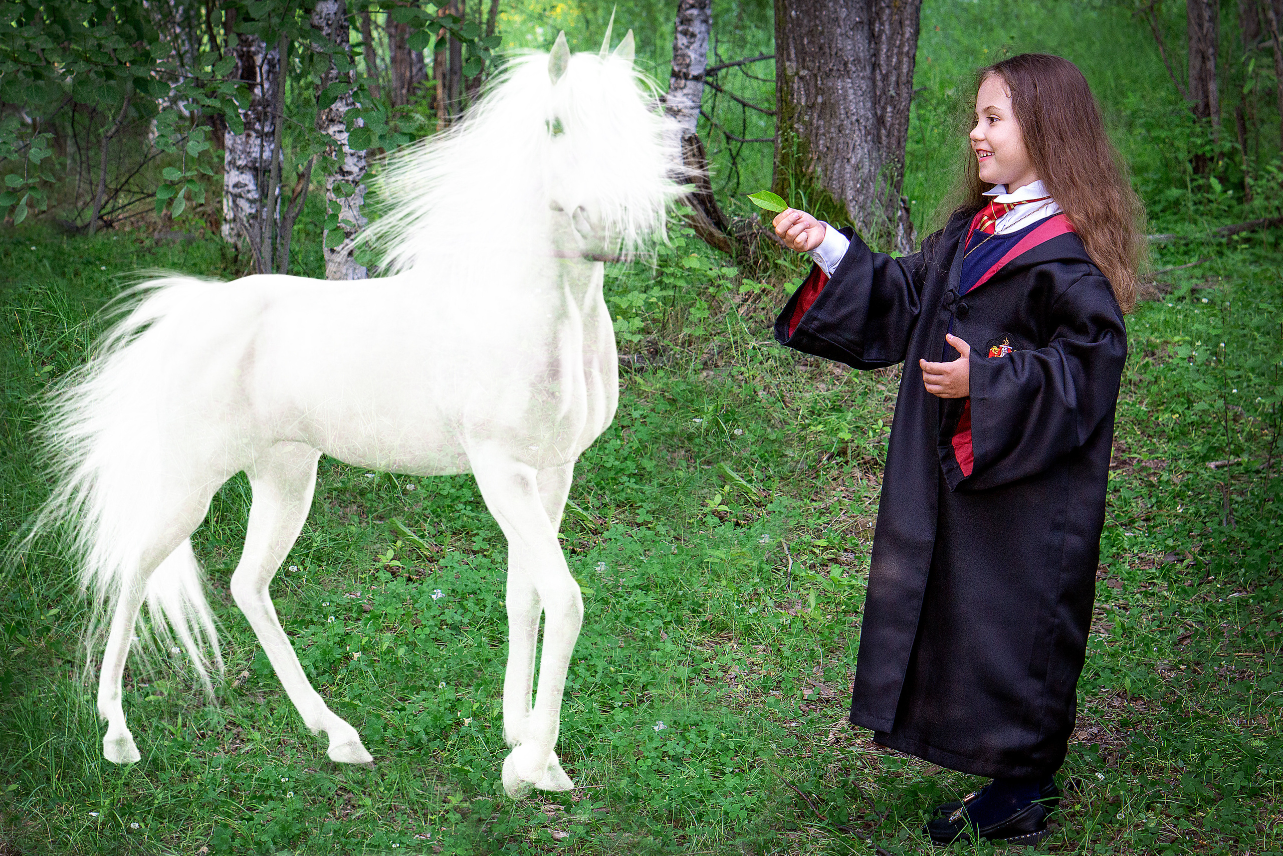 ГАРРИ ПОТТЕР в Запретном лесу. Семейный и детский фотограф в Хабаровске Анна Гриневич