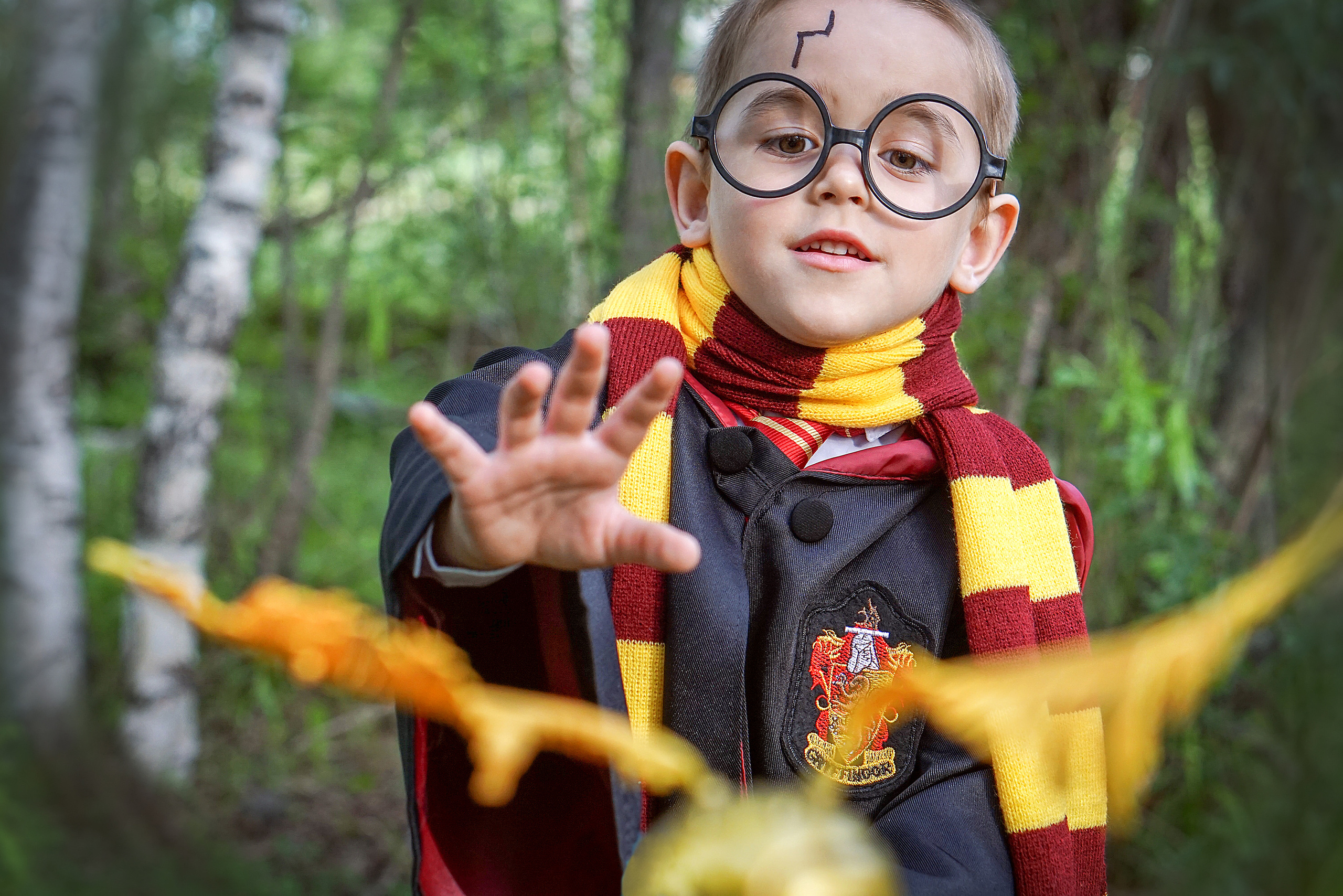 ГАРРИ ПОТТЕР в Запретном лесу. Семейный и детский фотограф в Хабаровске Анна Гриневич