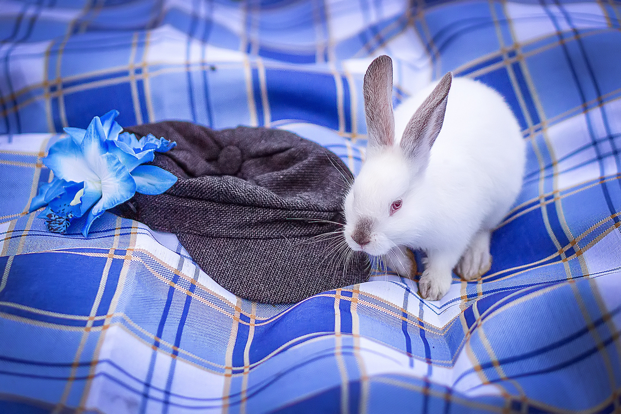 Лето в стиле ГЖЕЛЬ. Семейный и детский фотограф в Хабаровске Анна Гриневич