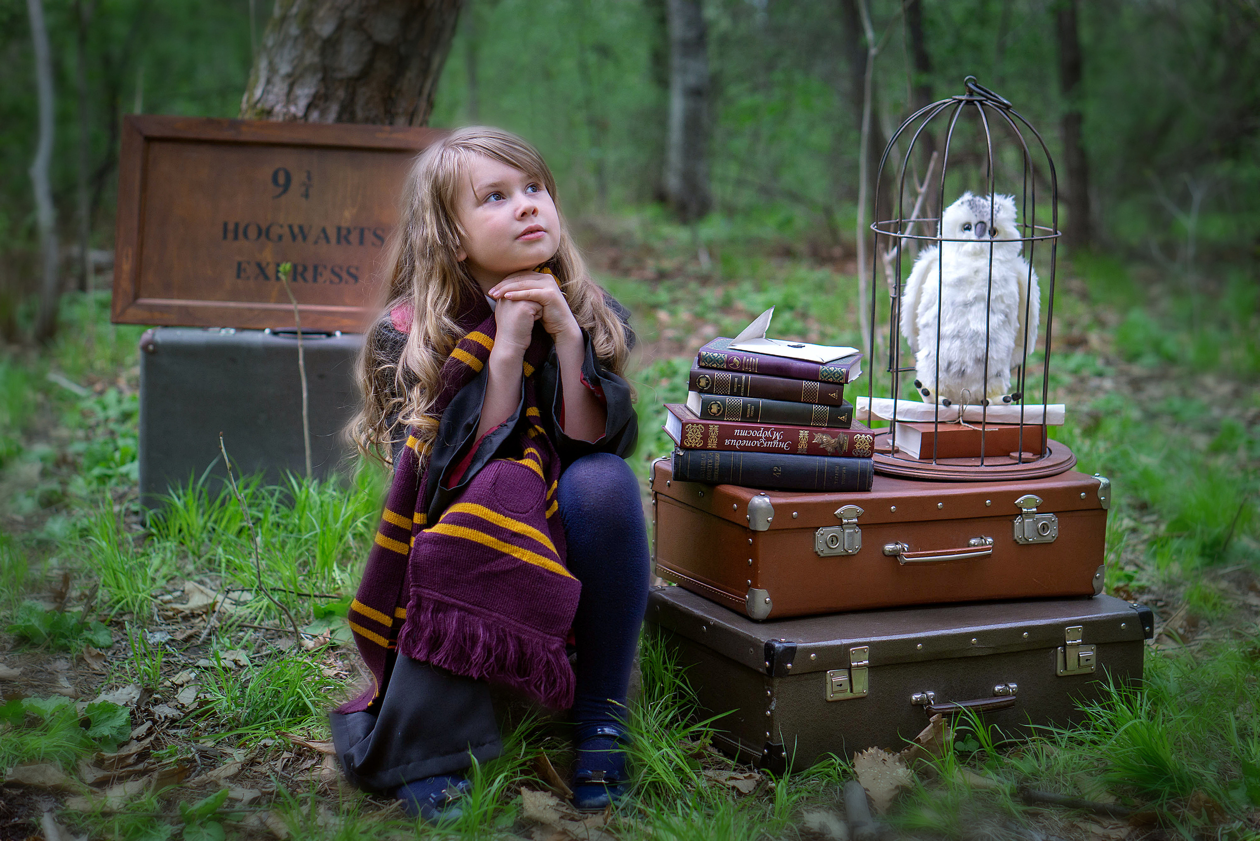 ГАРРИ ПОТТЕР в Запретном лесу. Семейный и детский фотограф в Хабаровске Анна Гриневич