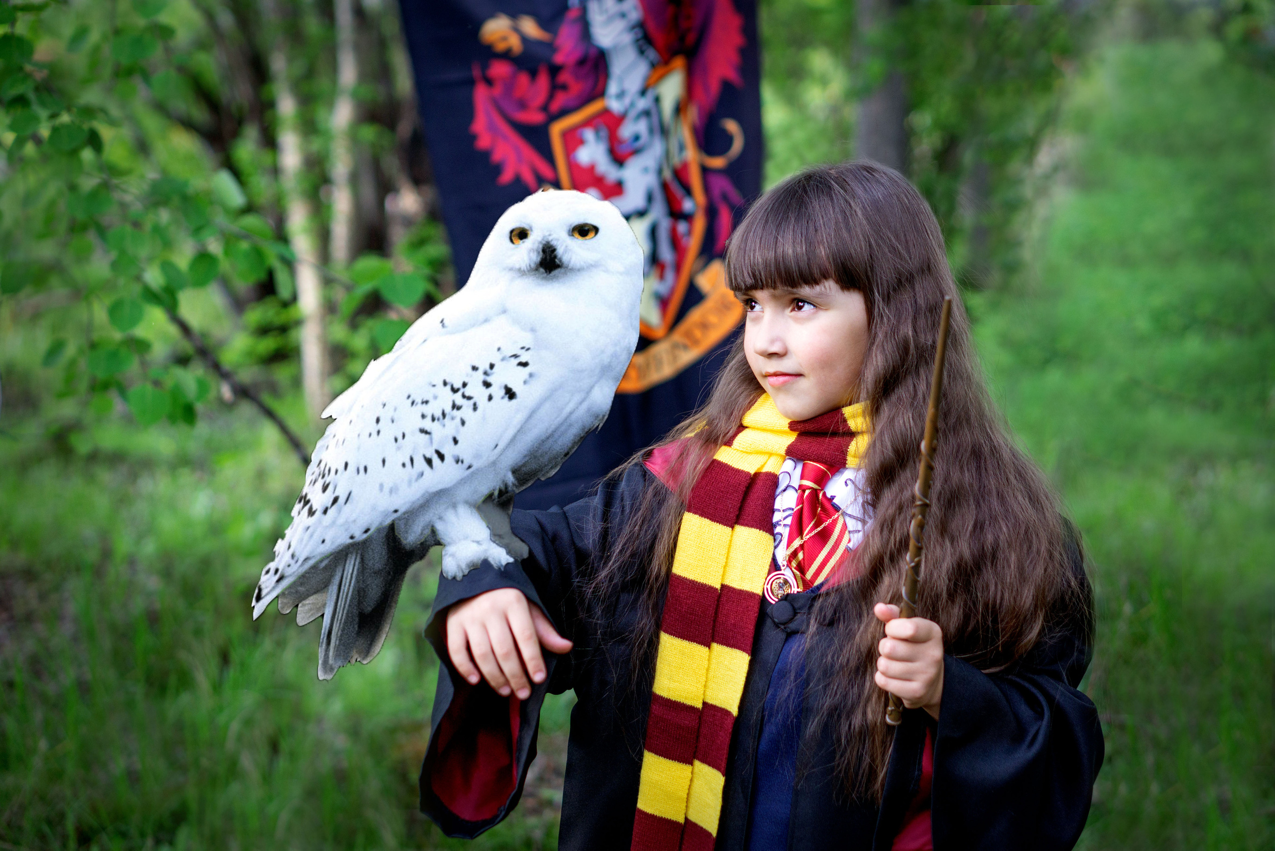 ГАРРИ ПОТТЕР в Запретном лесу. Семейный и детский фотограф в Хабаровске Анна Гриневич