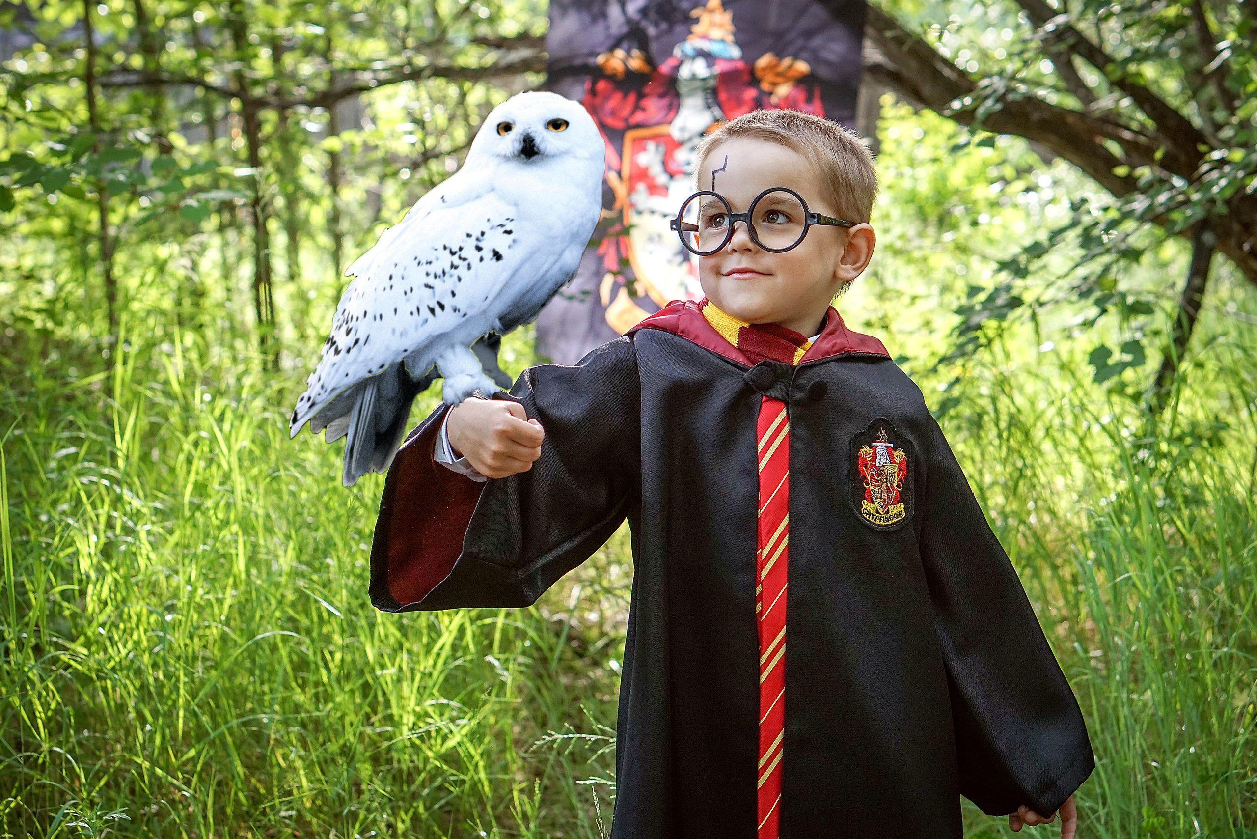 ГАРРИ ПОТТЕР в Запретном лесу. Семейный и детский фотограф в Хабаровске Анна Гриневич