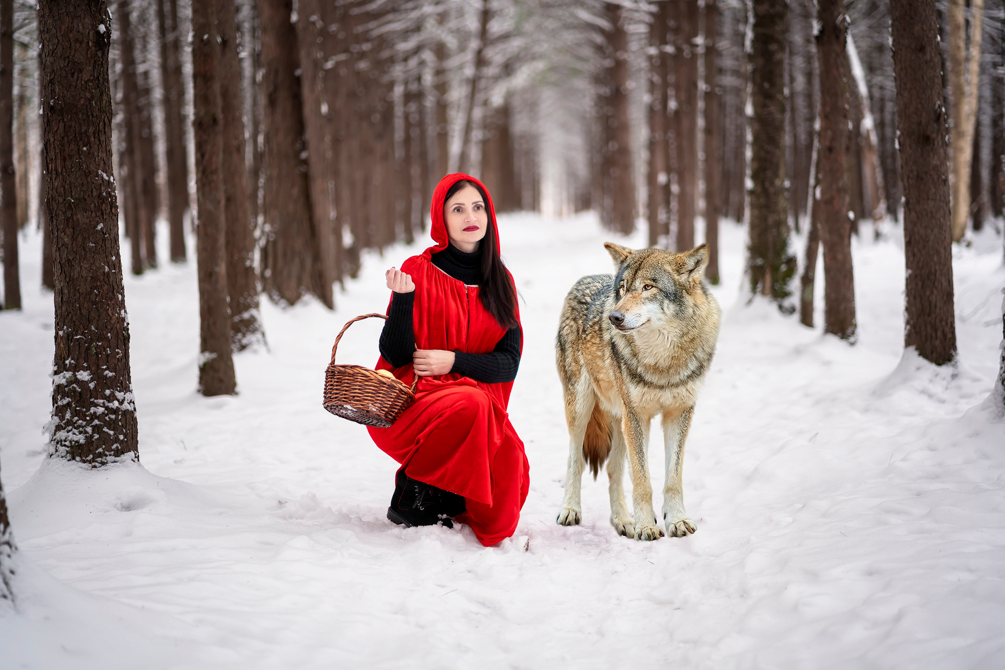 Красная Шапочка. Семейный и детский фотограф в Хабаровске Анна Гриневич