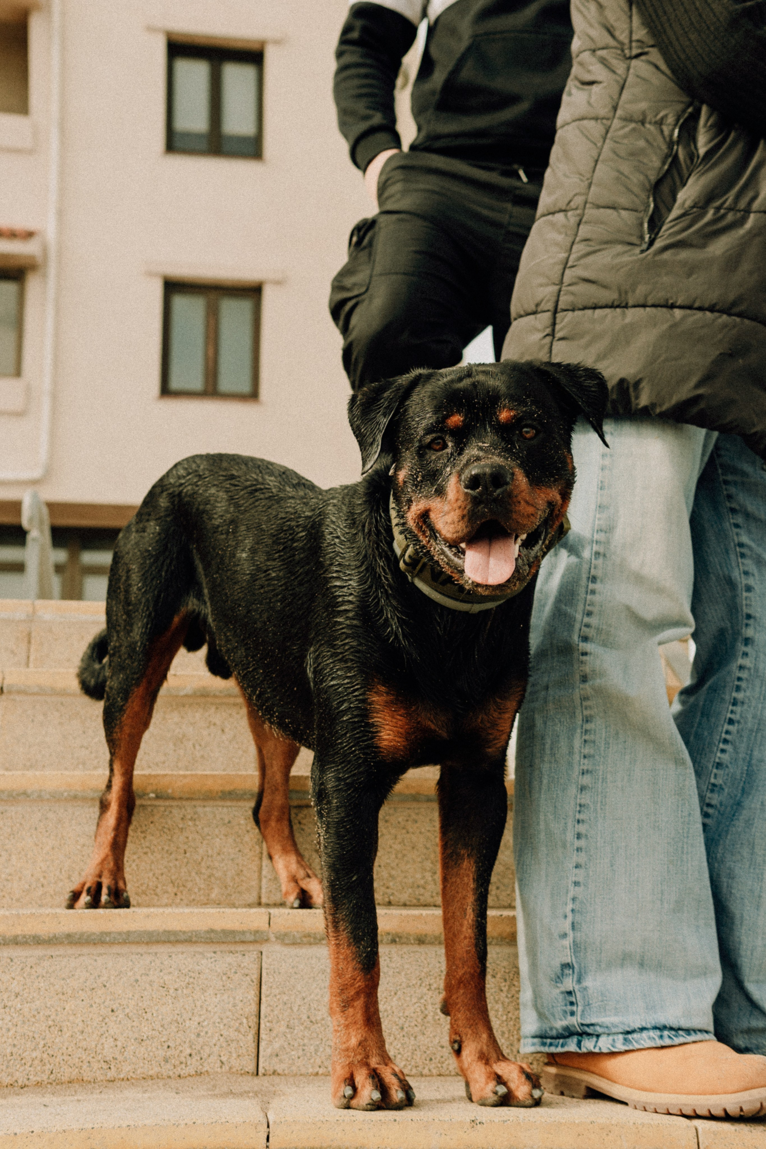 Beach. IANA VOLITSKAYA. LifeStyle Photographer in Gibraltar