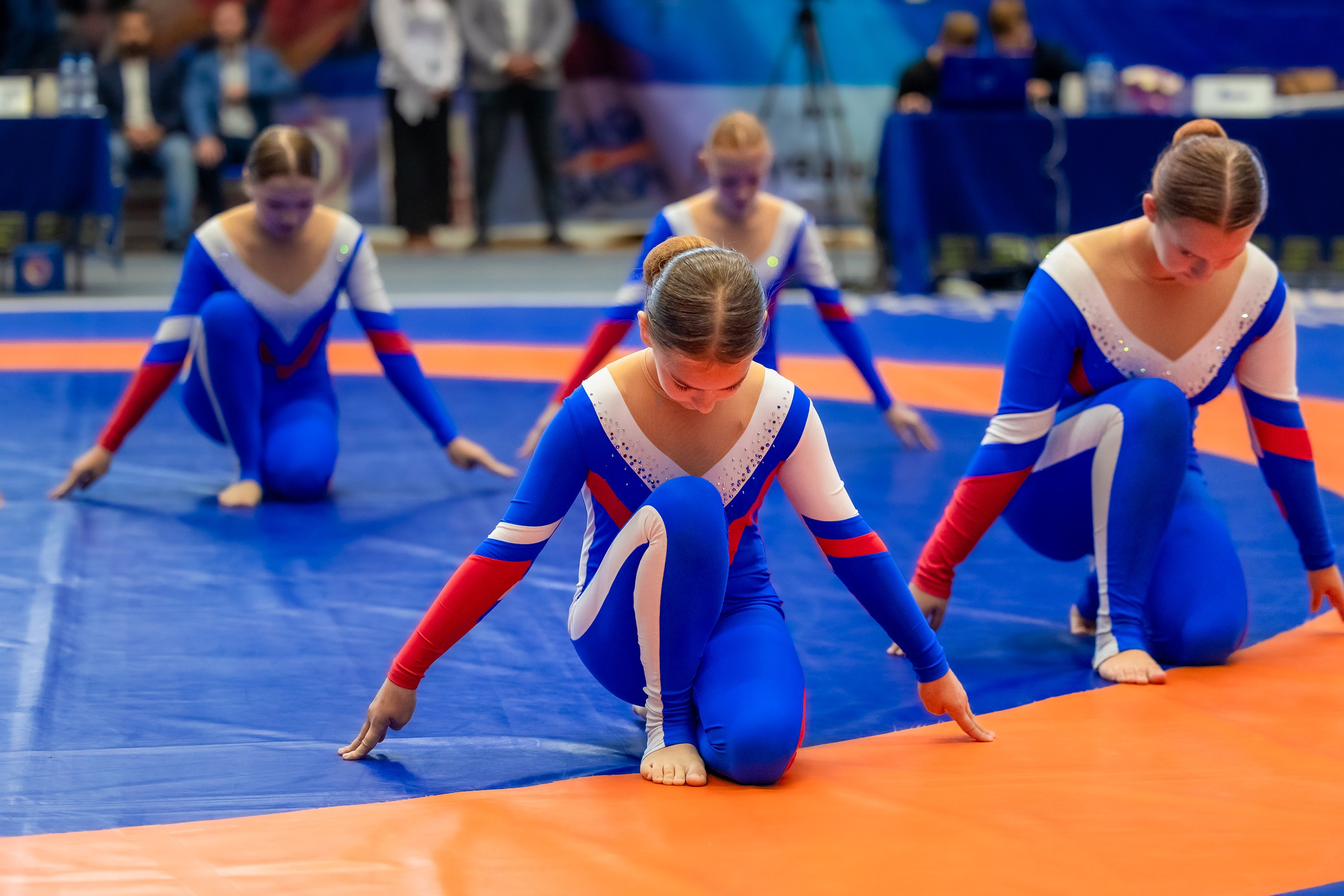 IX чемпионат Алтайского края по греко-римской борьбе. Репортажный фотограф в Барнауле Владимир Игнатов