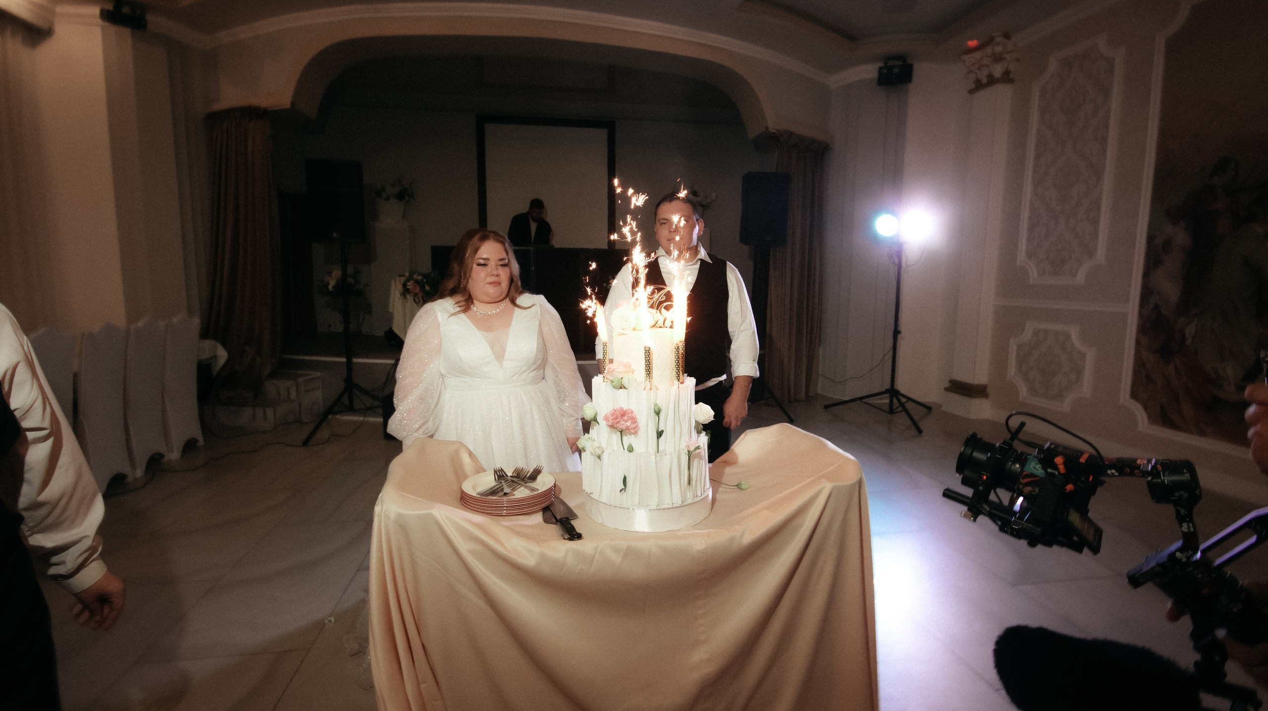 Яна и Артем. Свадебный и репортажный фотограф Дмитрий Кононенко