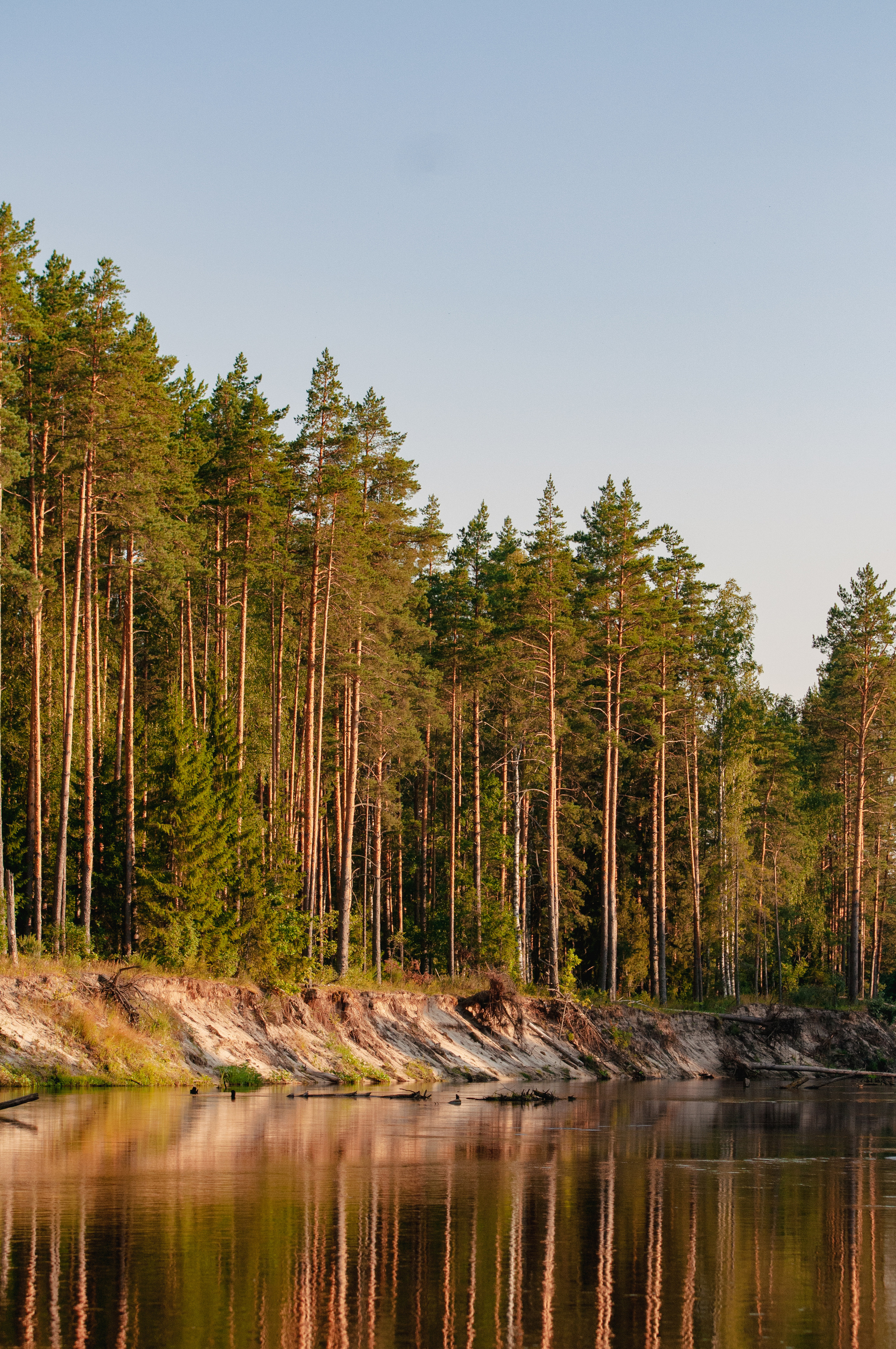 Природа. Мотофотограф в Нижнем Новгороде Динара Зуйкова