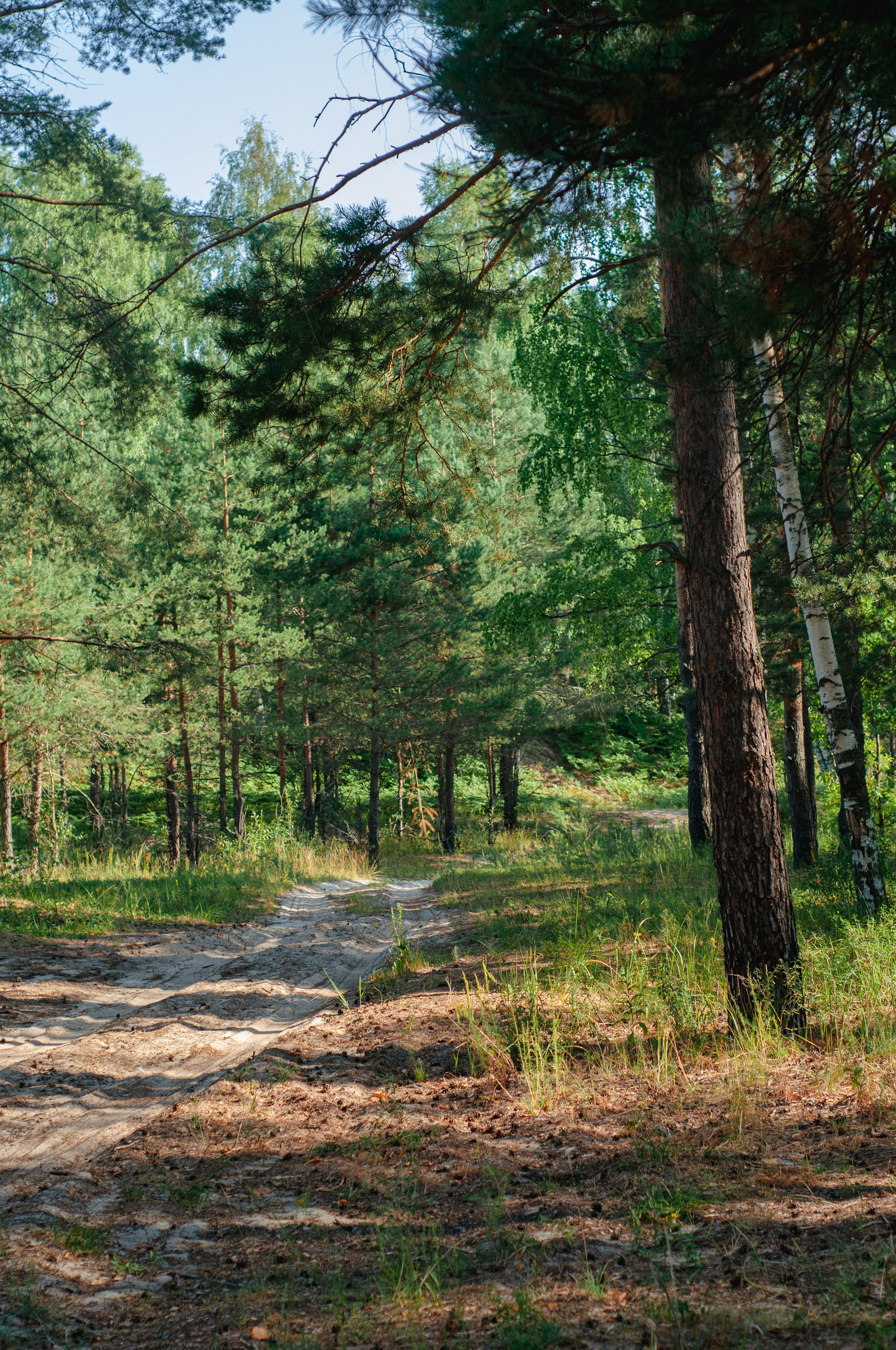 Природа. Мотофотограф в Нижнем Новгороде Динара Зуйкова
