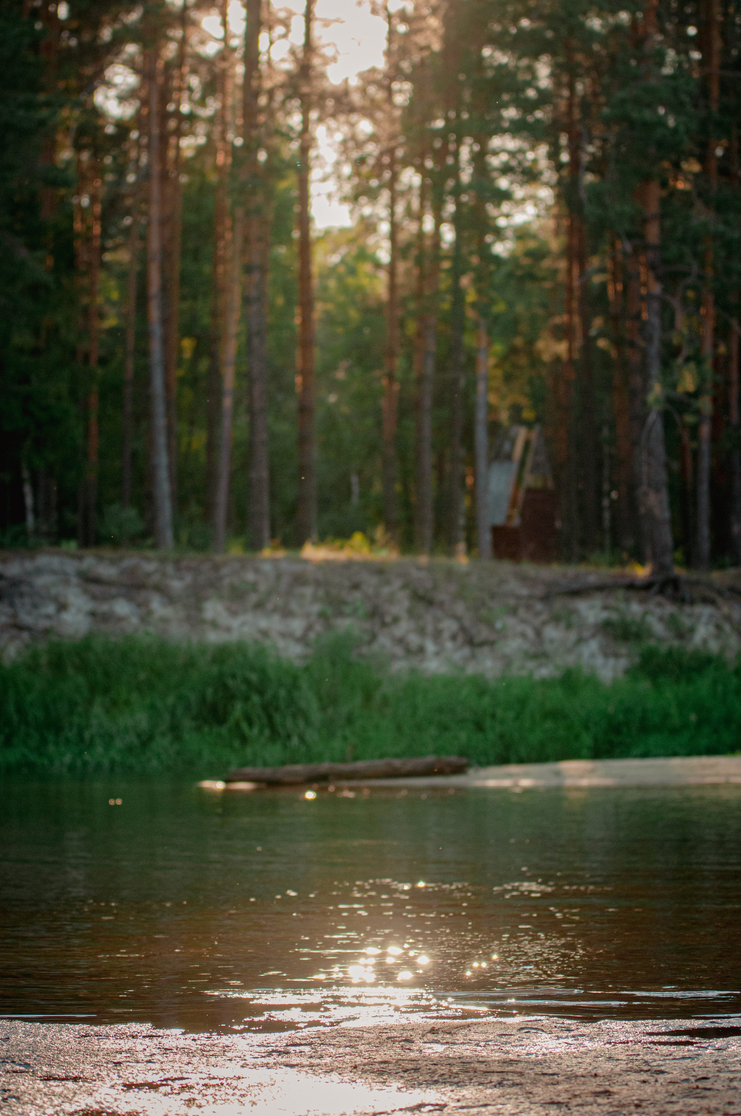 Природа. Мотофотограф в Нижнем Новгороде Динара Зуйкова