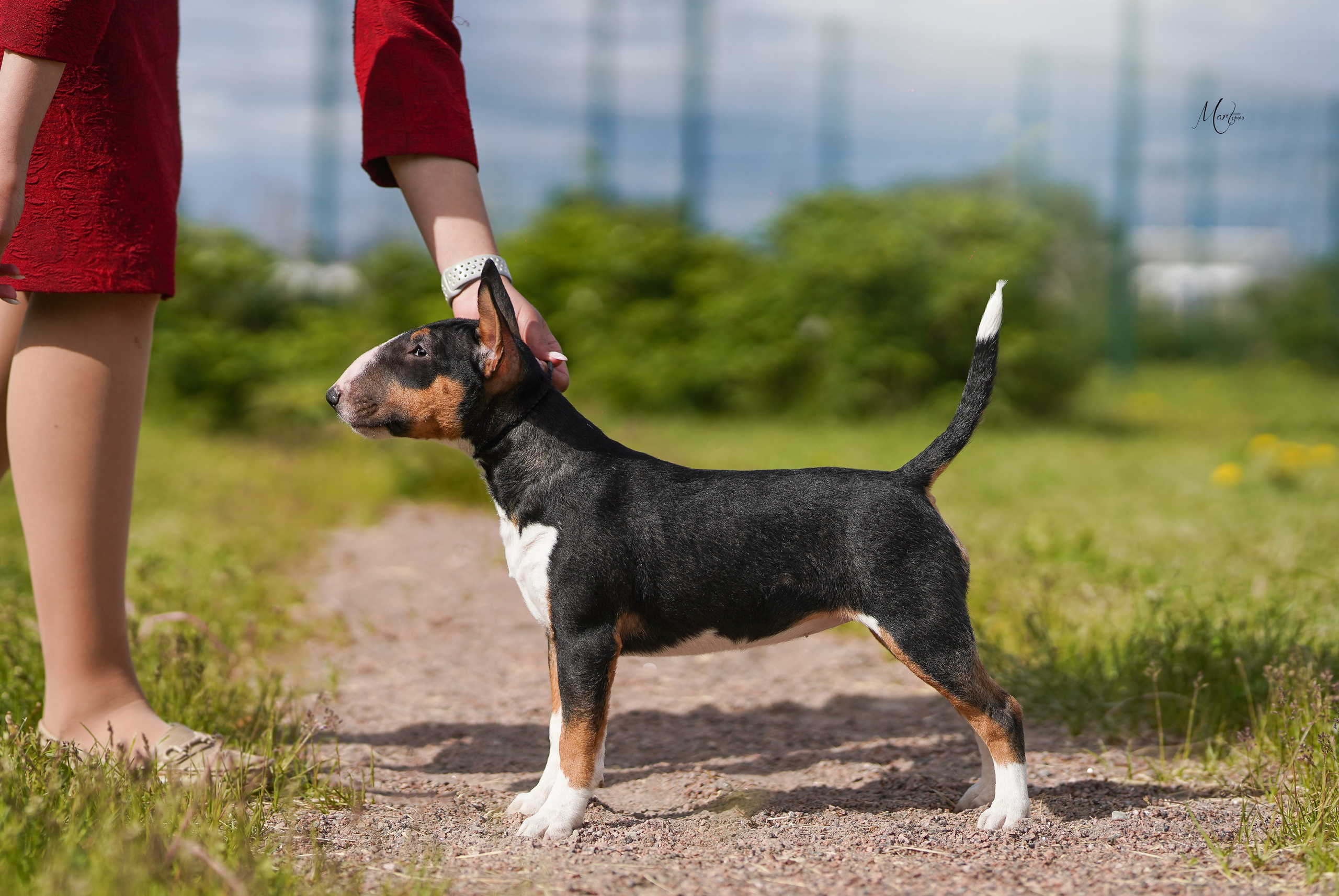 Выставки 2023. Фотограф-анималист в Санкт-Петербурге Яна Мартынова