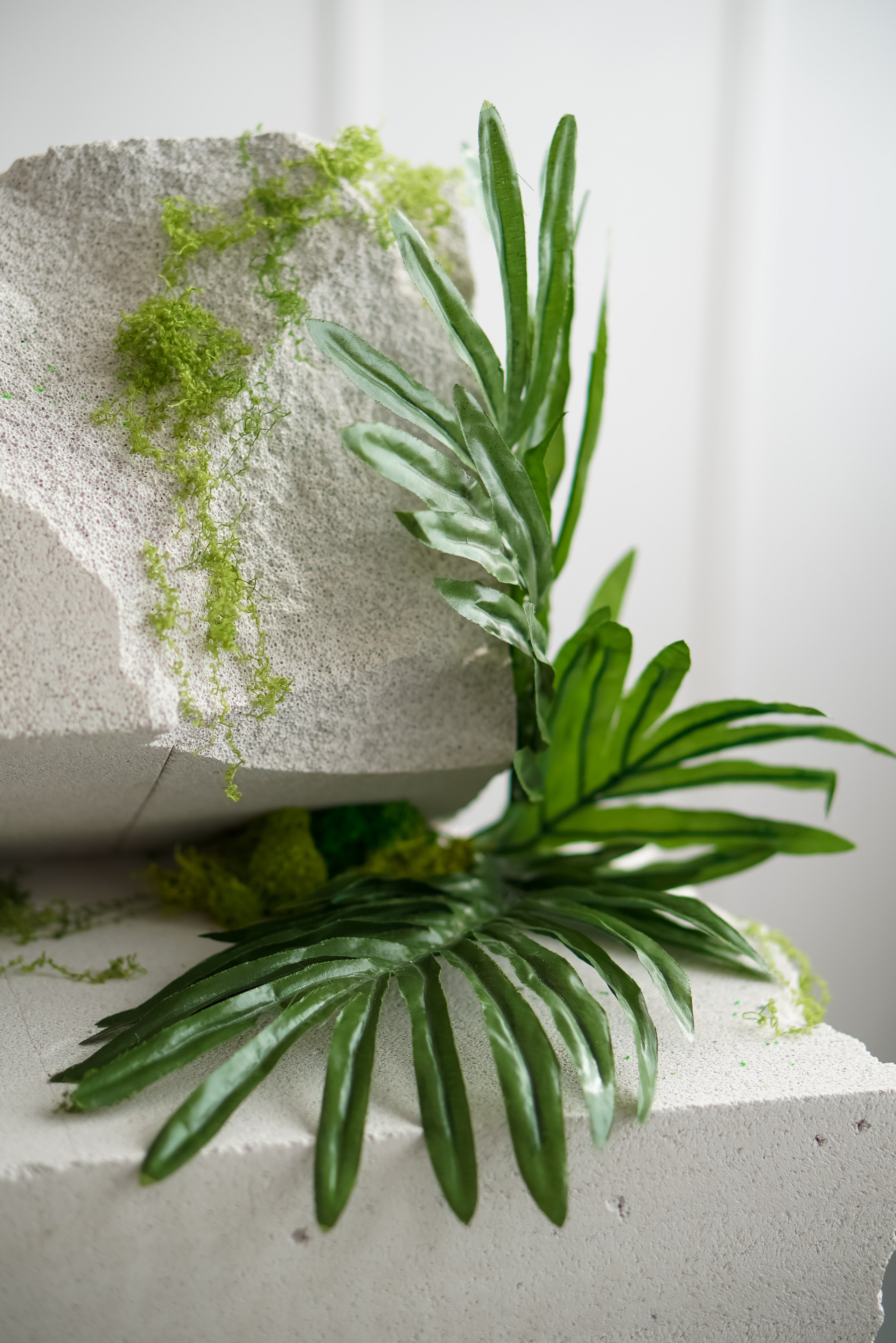 Зал Life фотостудия Импульс. Фотостудия в Саратове. Фотограф в Саратове