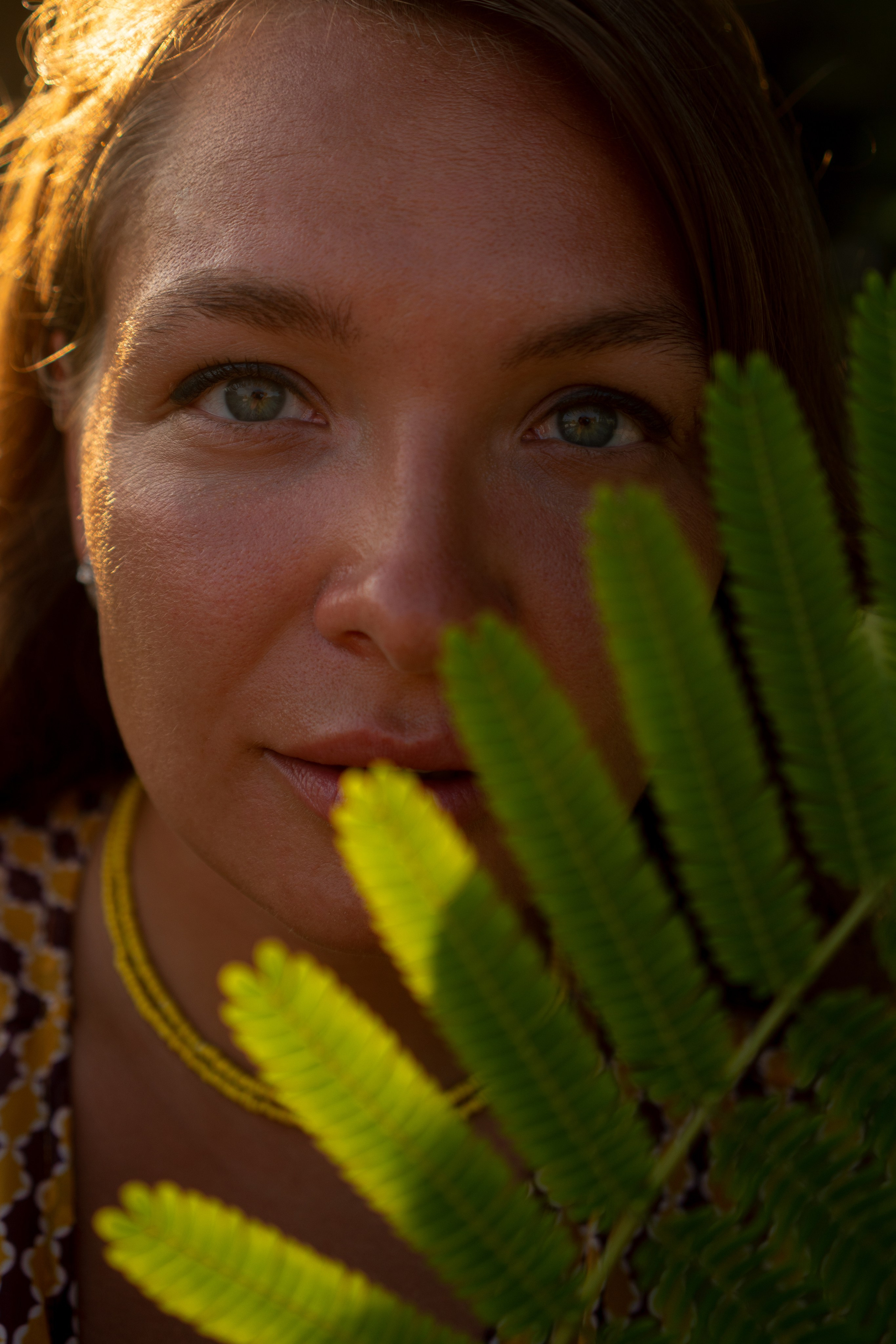 Summer. Photographer Yudakova Daria