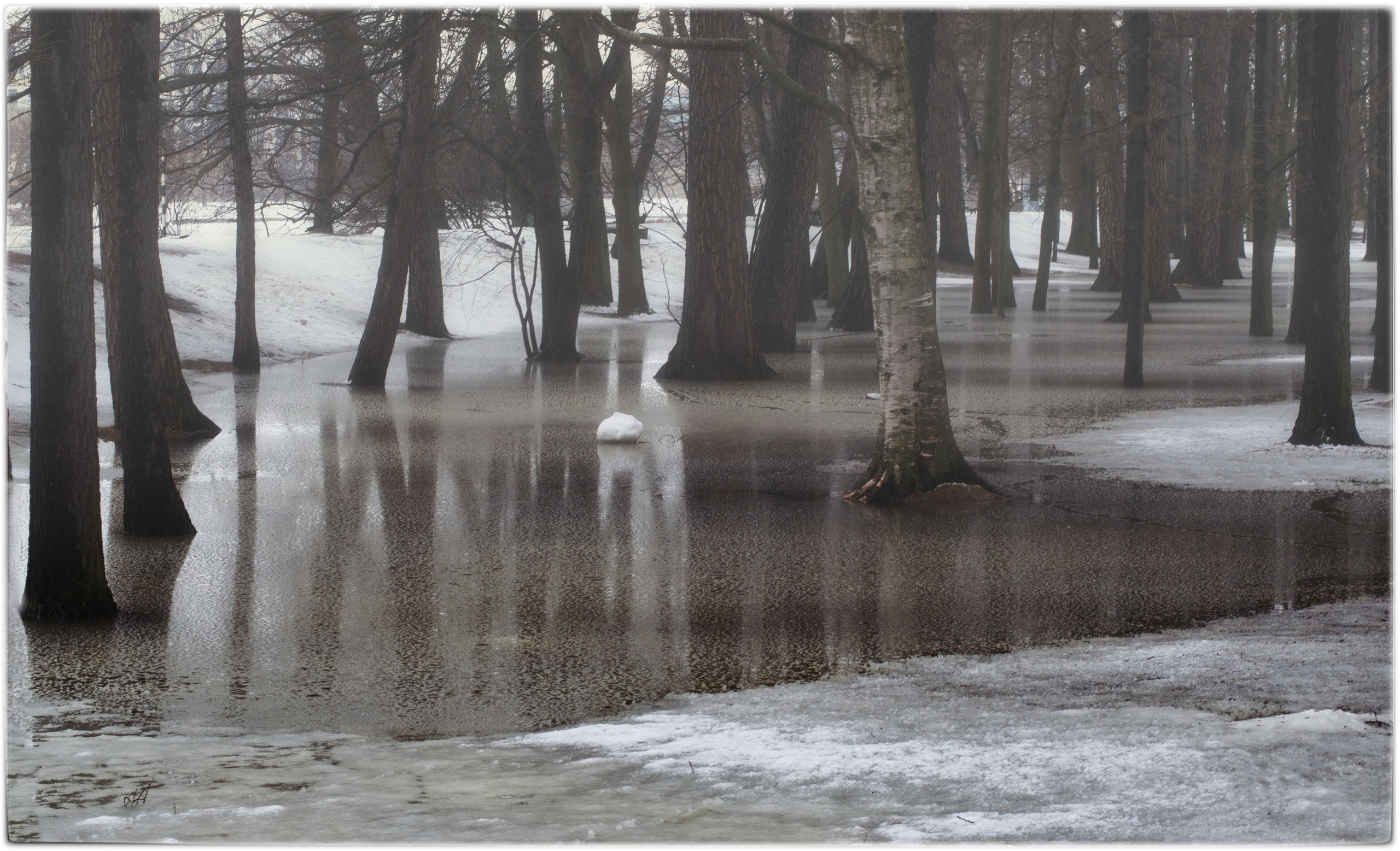крестовский остров санкт петербург весна