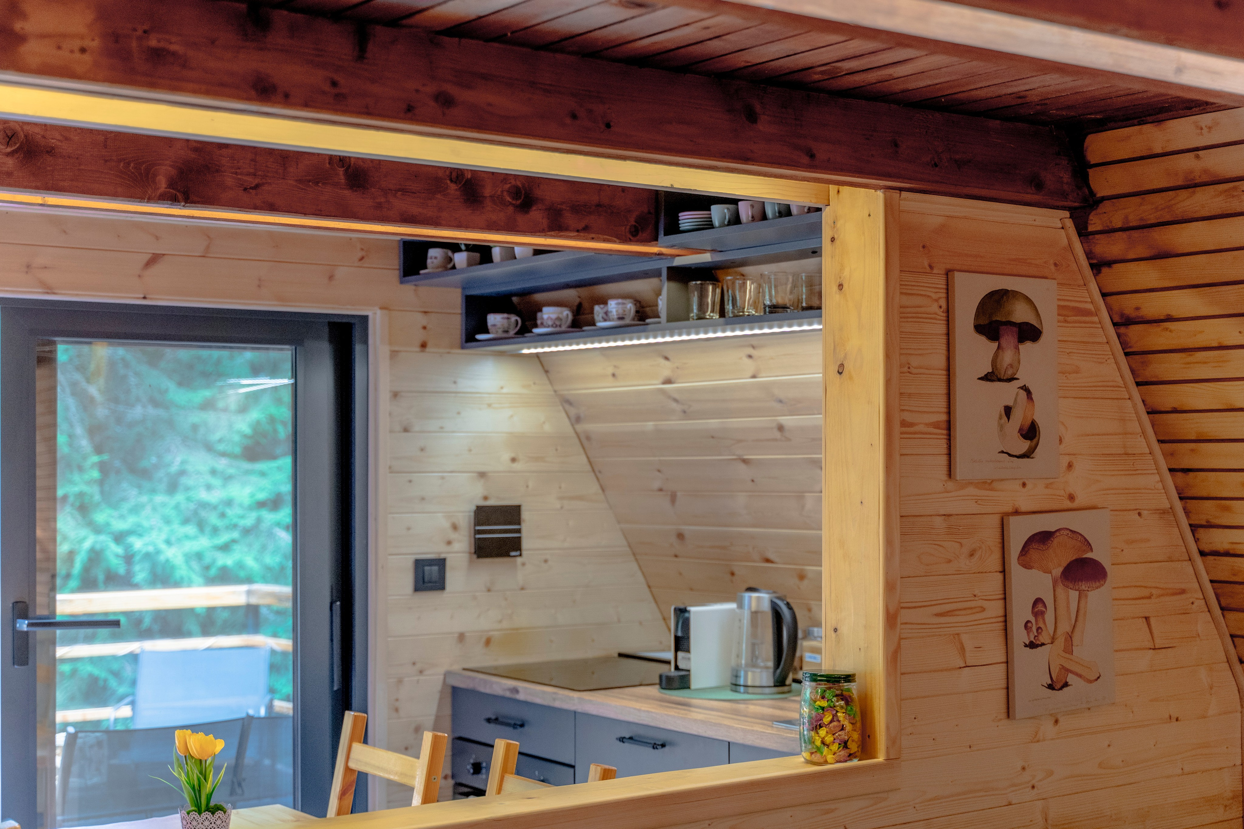 Viktorija Chalet. Photographer Liana Sudets Serbia Kopaonik Brzece Brus