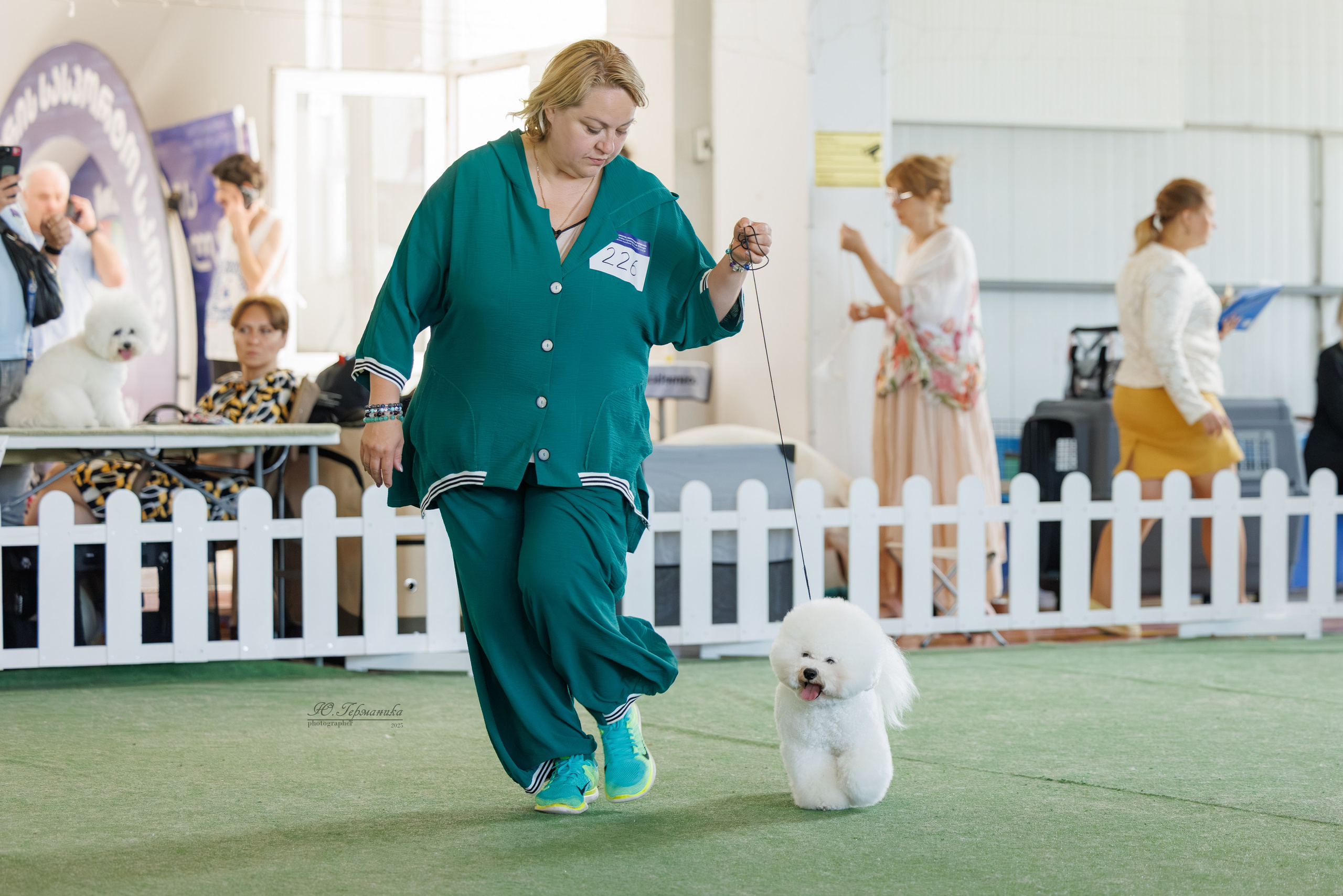 Батуми 3хCACIB 27-29.06.2025. Фотограф-анималист Юлия Германика