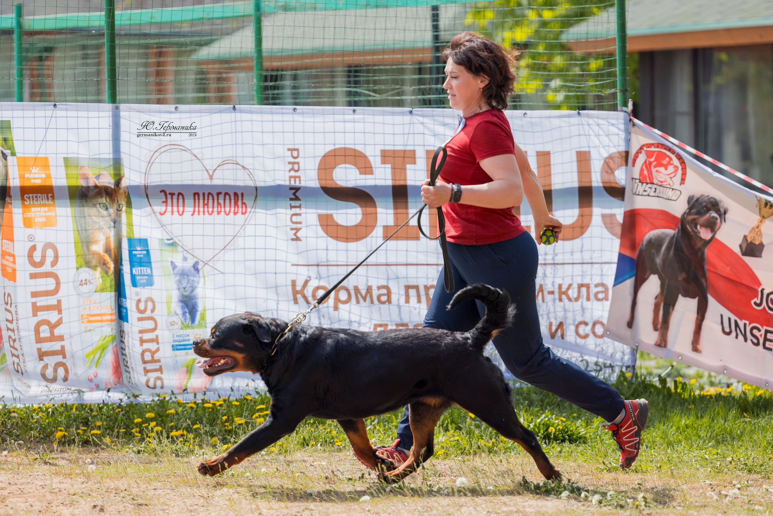 Саратов 2 х моно ротвейлеров 28-29.04.2024. Фотограф-анималист Юлия Германика