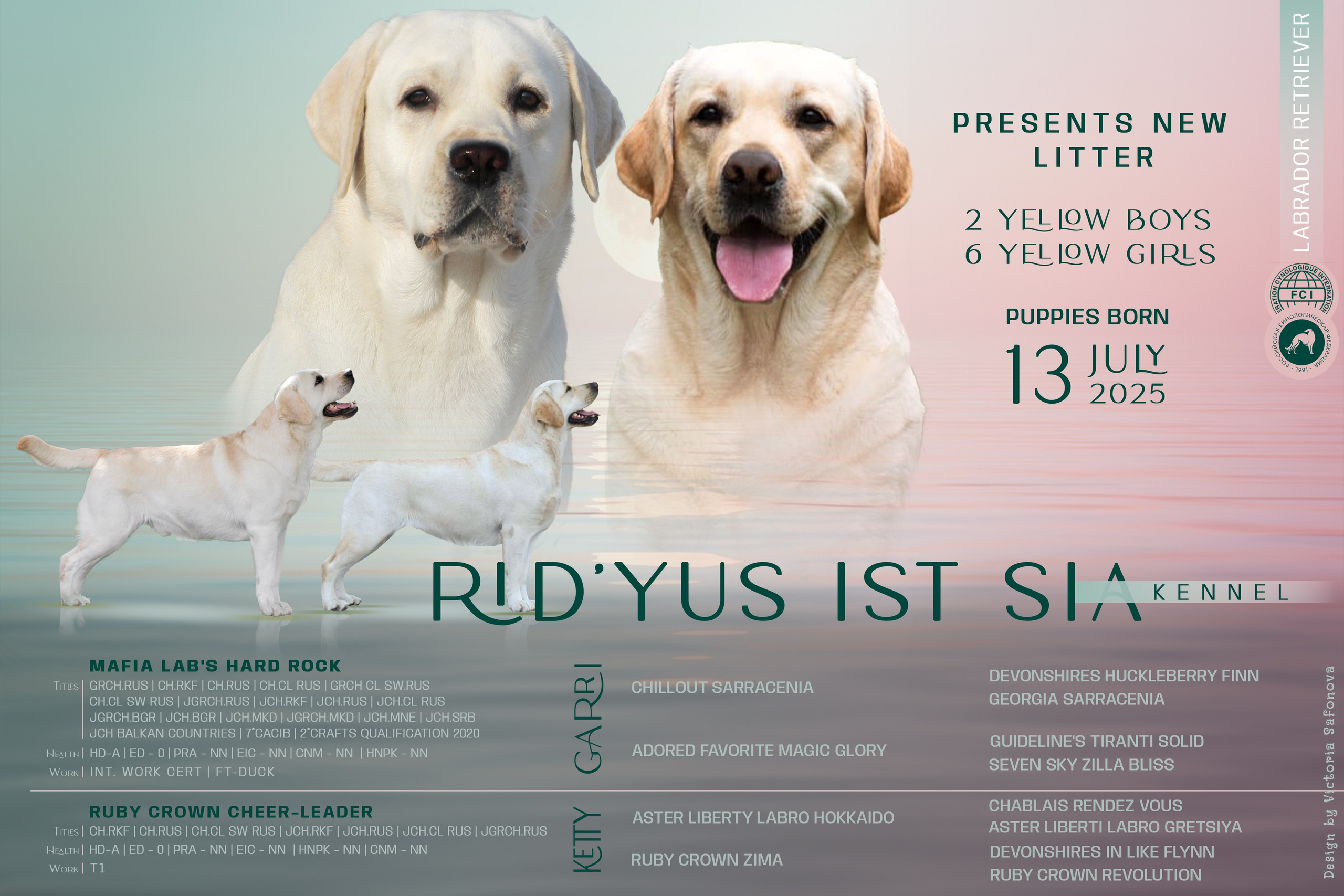 Анонсы помётов. Фотограф анималист Благовещенск. Сафонова Виктория