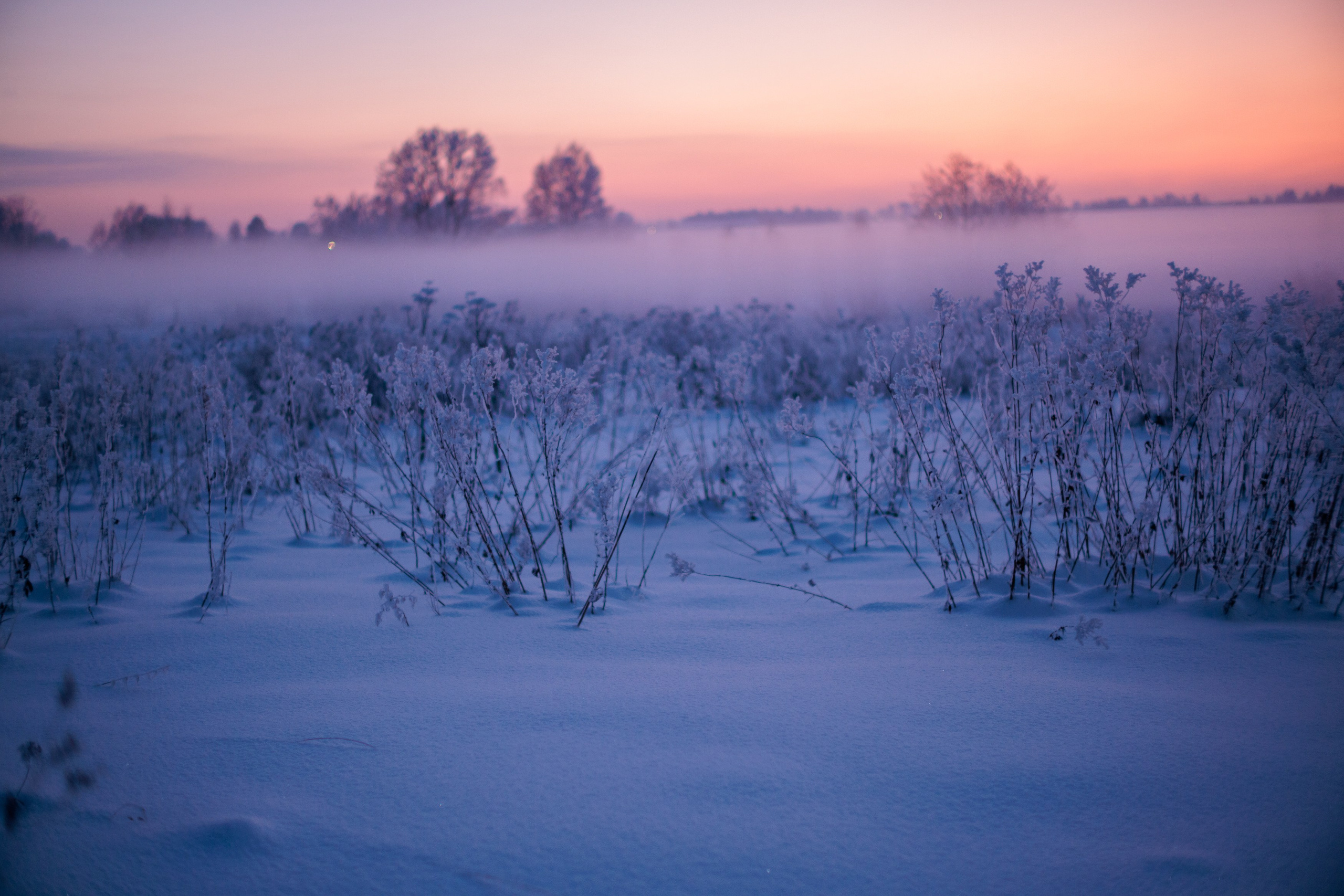 Пейзаж (вич рн) Закат. Владимир Петухов — фотограф в г. Кинешма. Оператор FPV