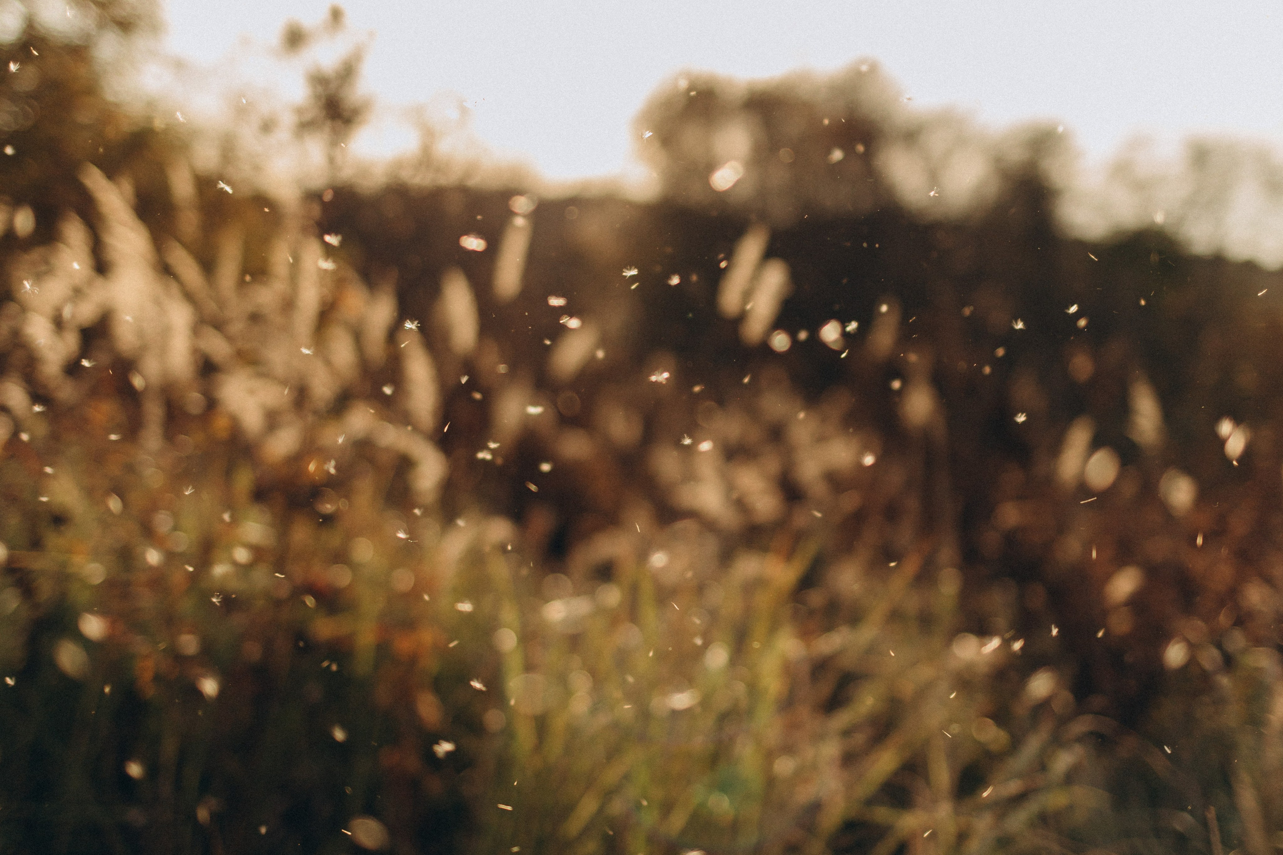 Настя и Саша. Семейный фотограф в Москве Валерия Мясникова