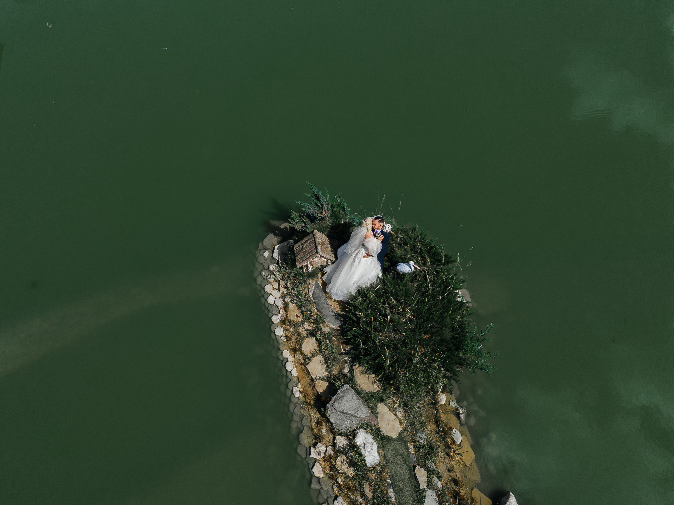 Серёжа и Арина. Ведущий на свадьбу в Балашихе, Железнодорожном, Москве Евгения Гундер