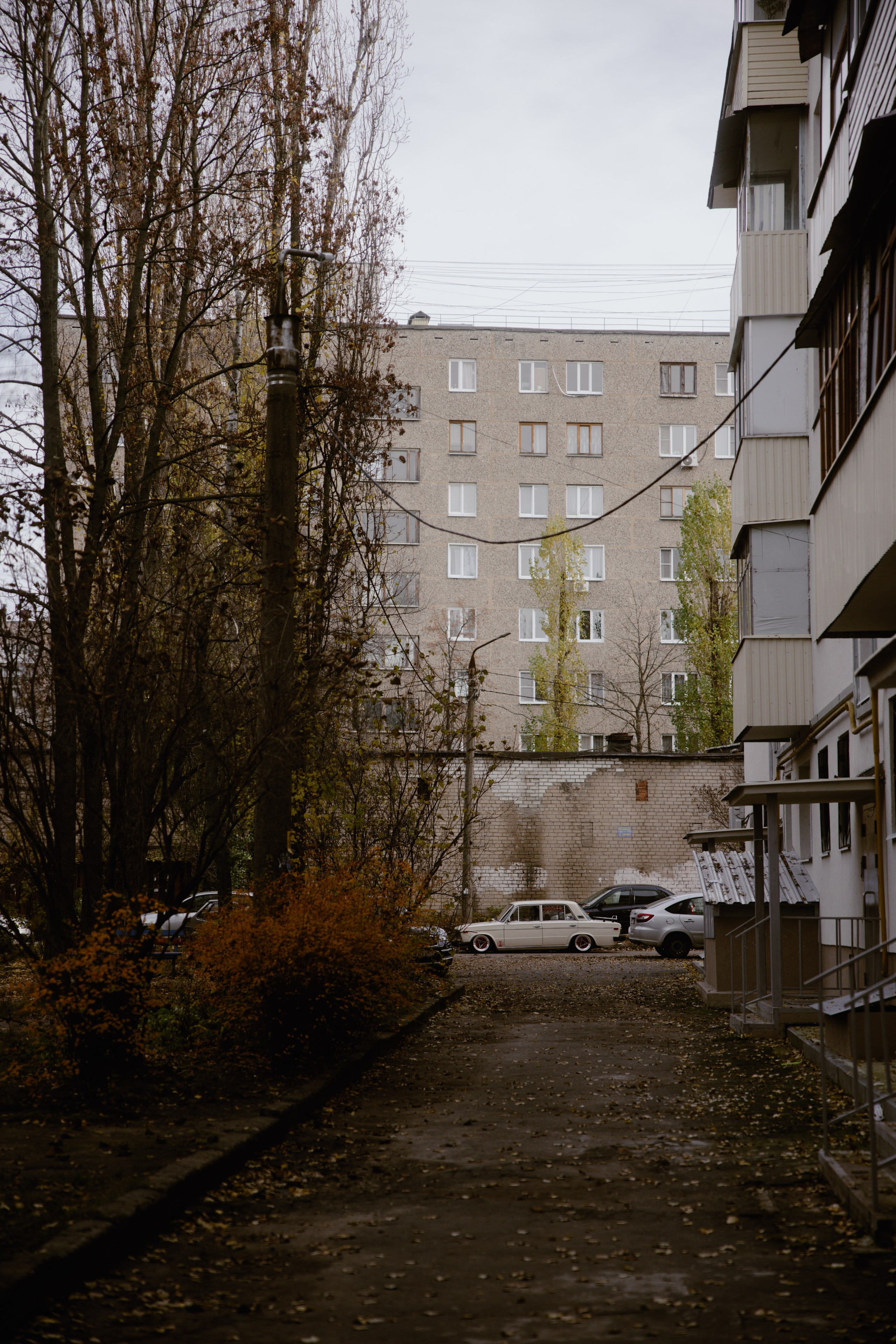 Punk. Свадебный фотограф / Reels Нижний Новгород Татьяна Красильникова