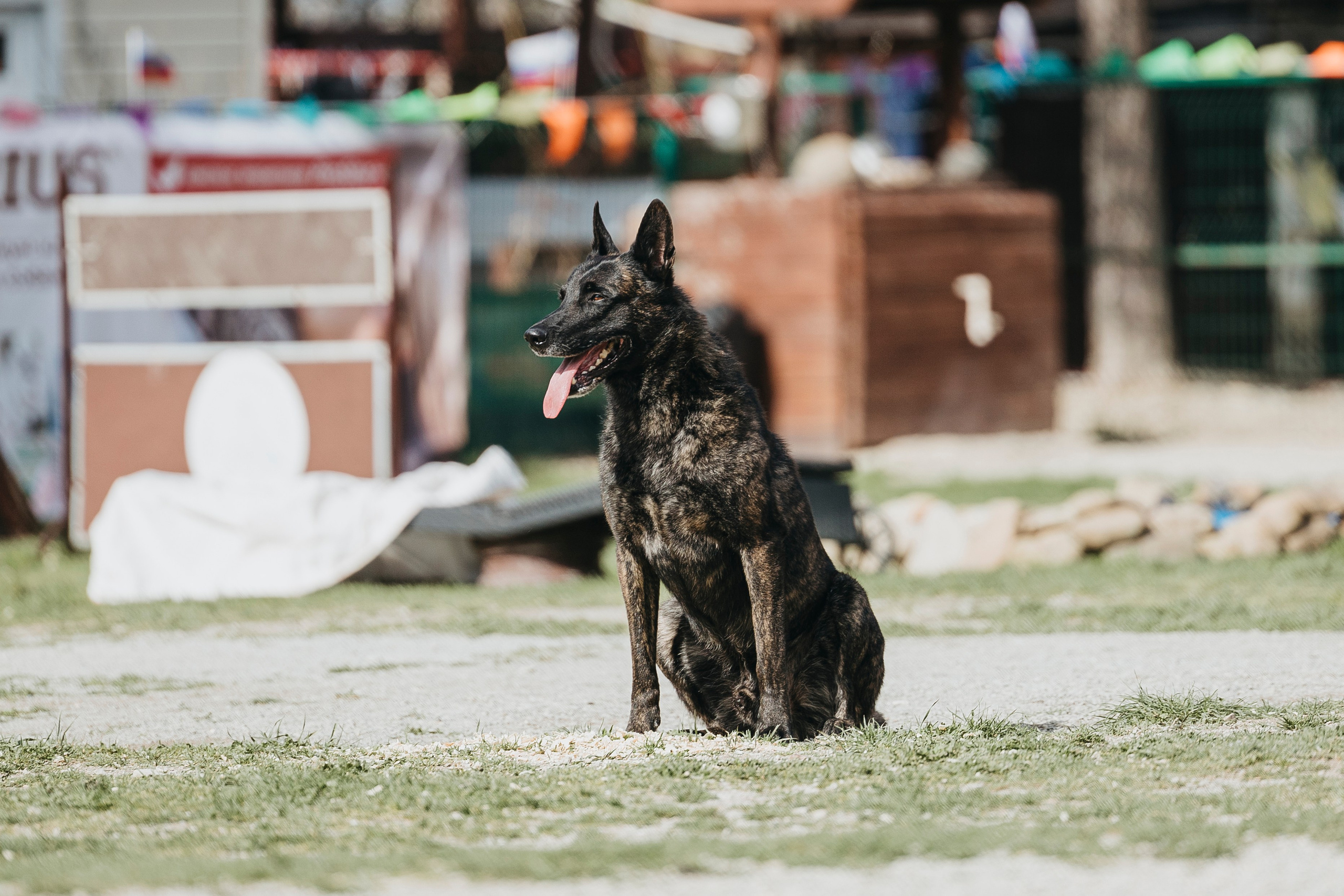 Геленджик Мондьоринг. Фотограф-анималист Анна Маринич