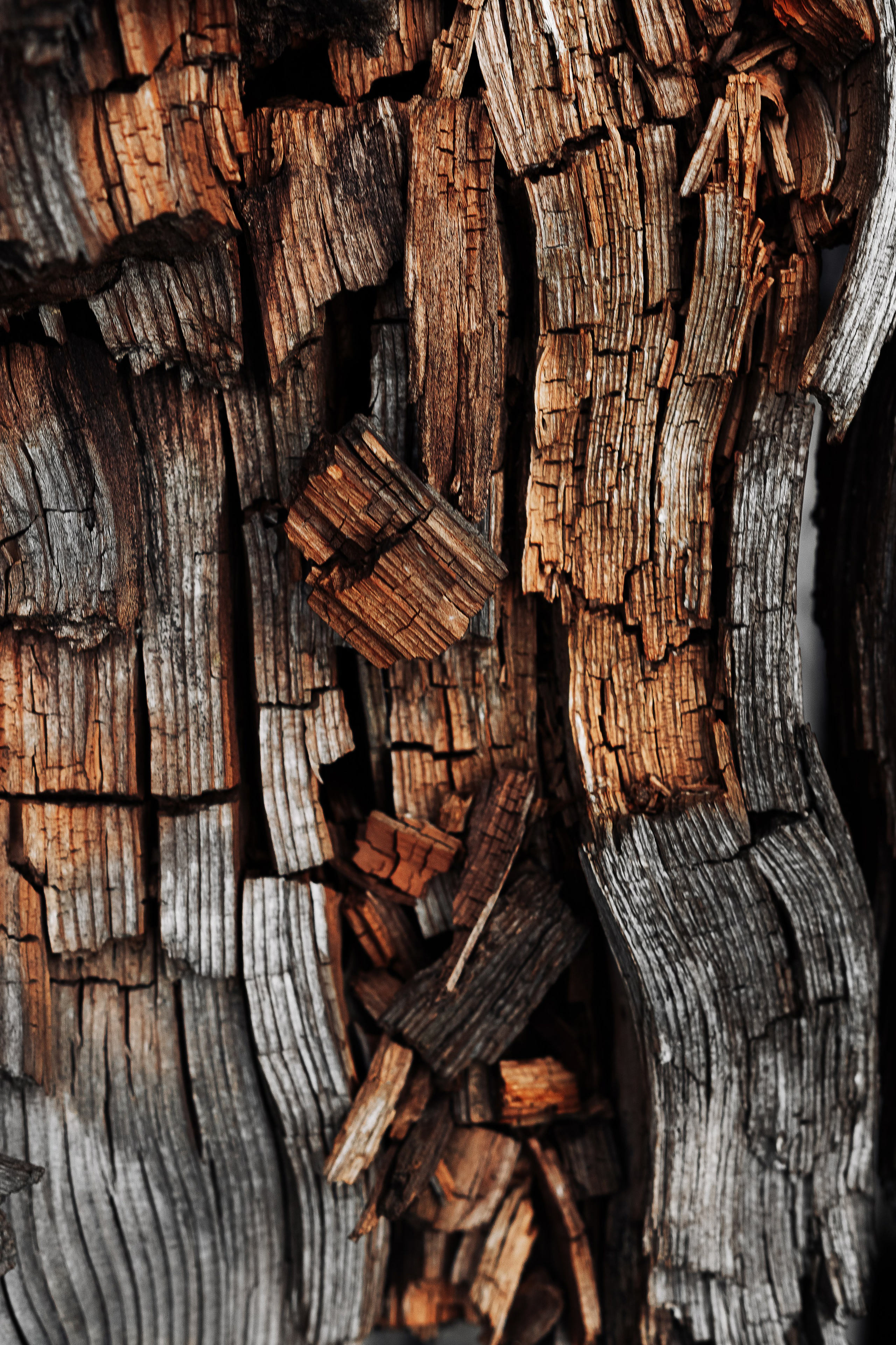 Жизнь. Фотограф Алматы | Весь мир — Никита Колодин