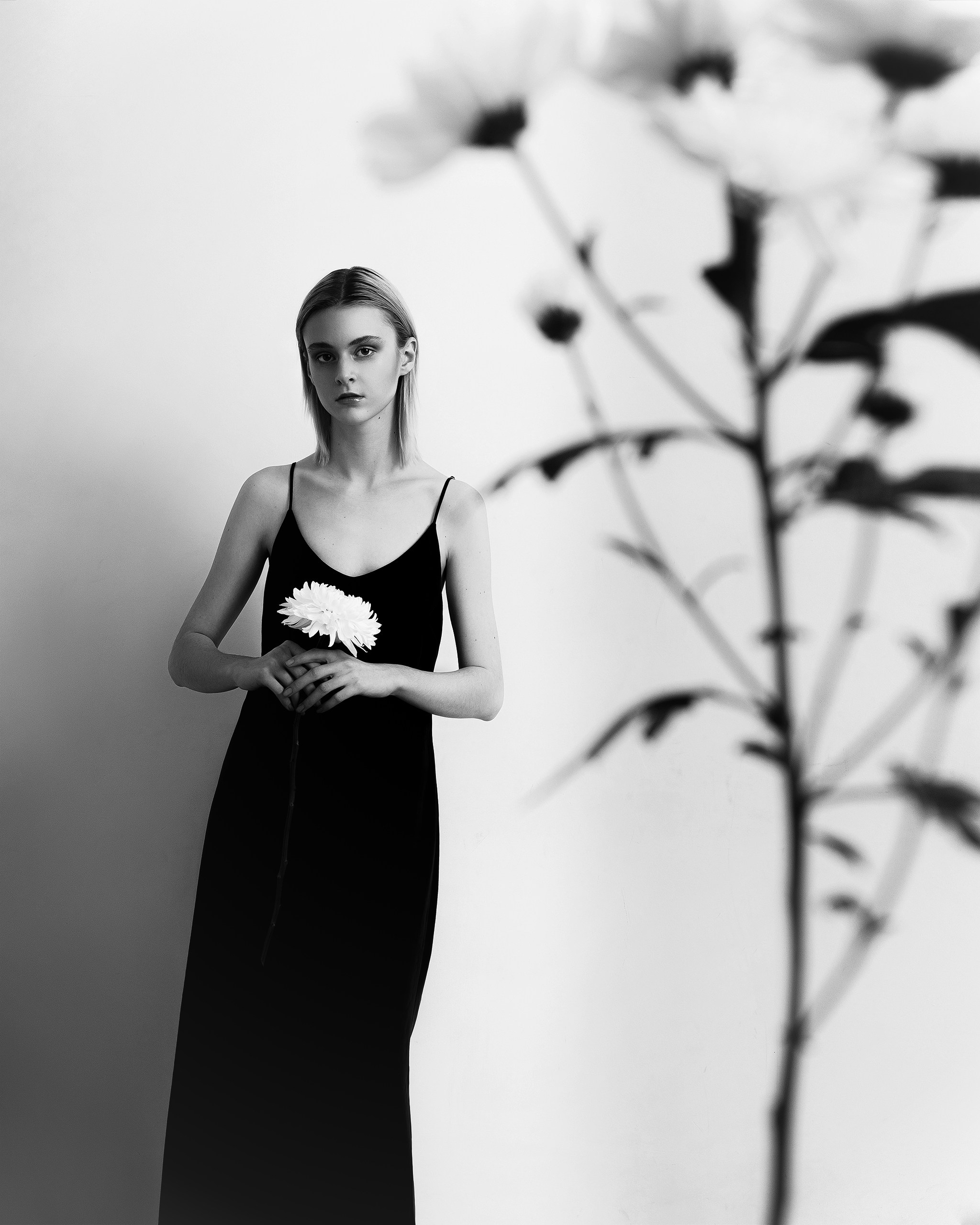 FLOWER. Фотограф Алматы | Весь мир — Никита Колодин