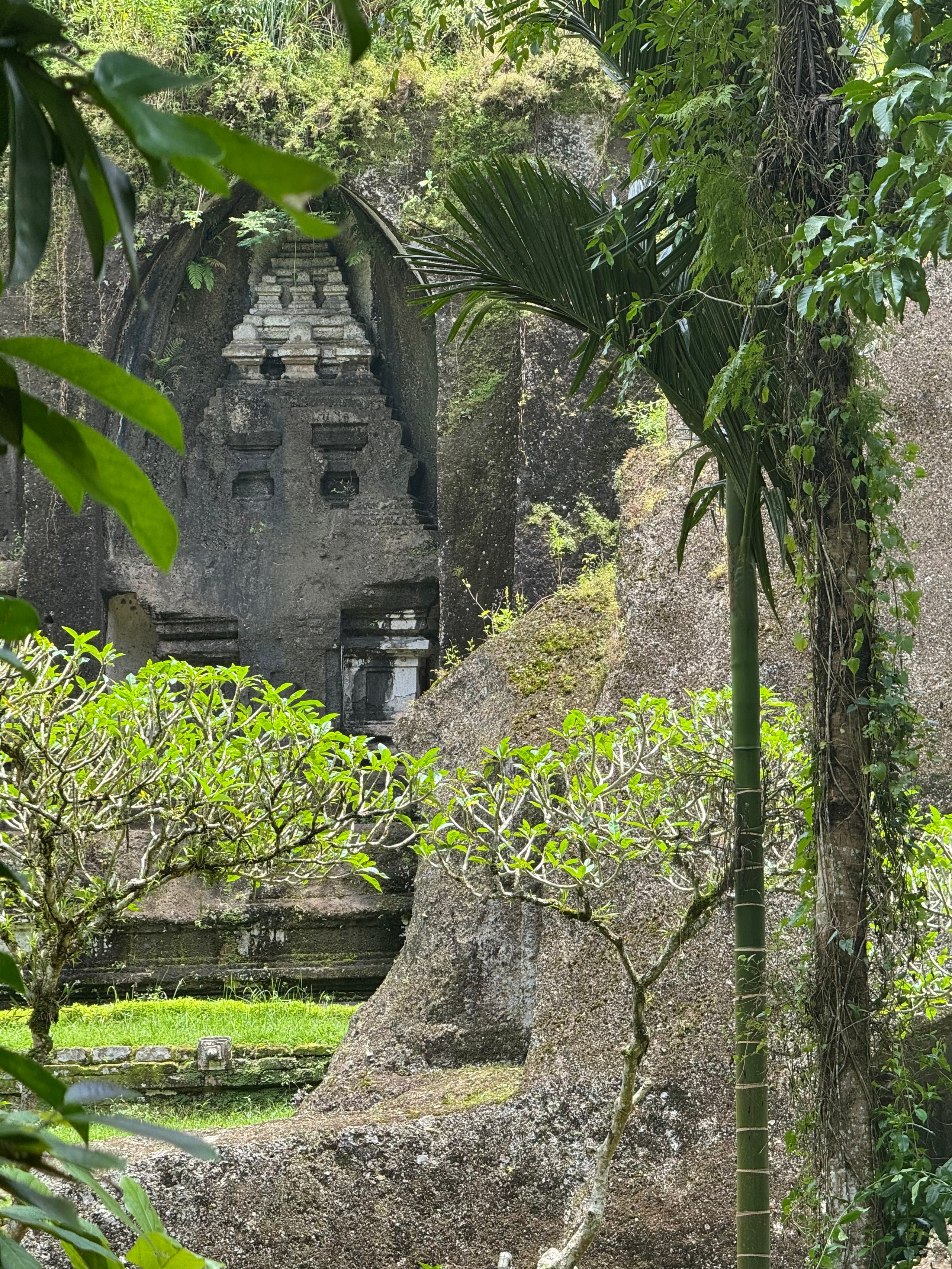 Бали. Убуд 2025. А вот и да!