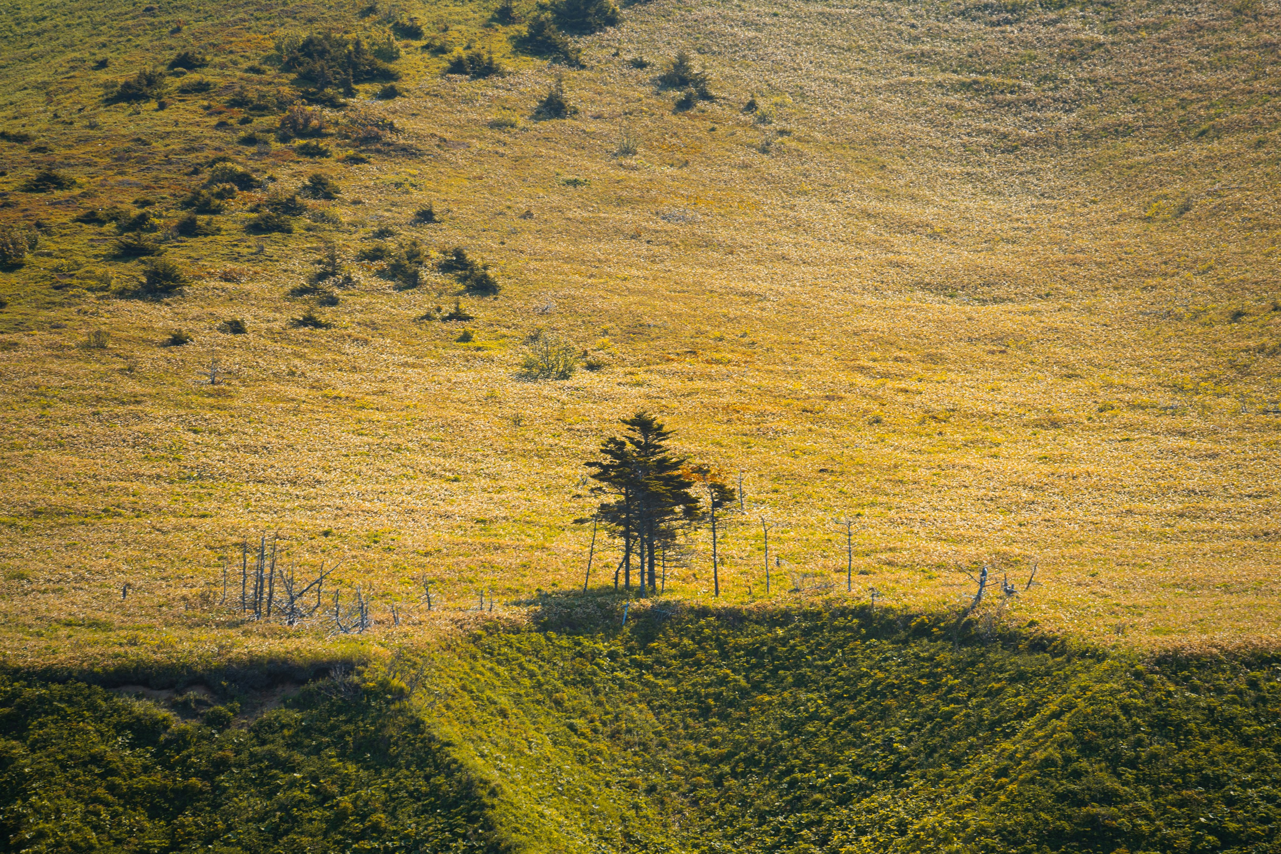 游览阿尼瓦灯塔. Ivan Zaitsev (IZIART) — 通过照片和视频创建文化代码