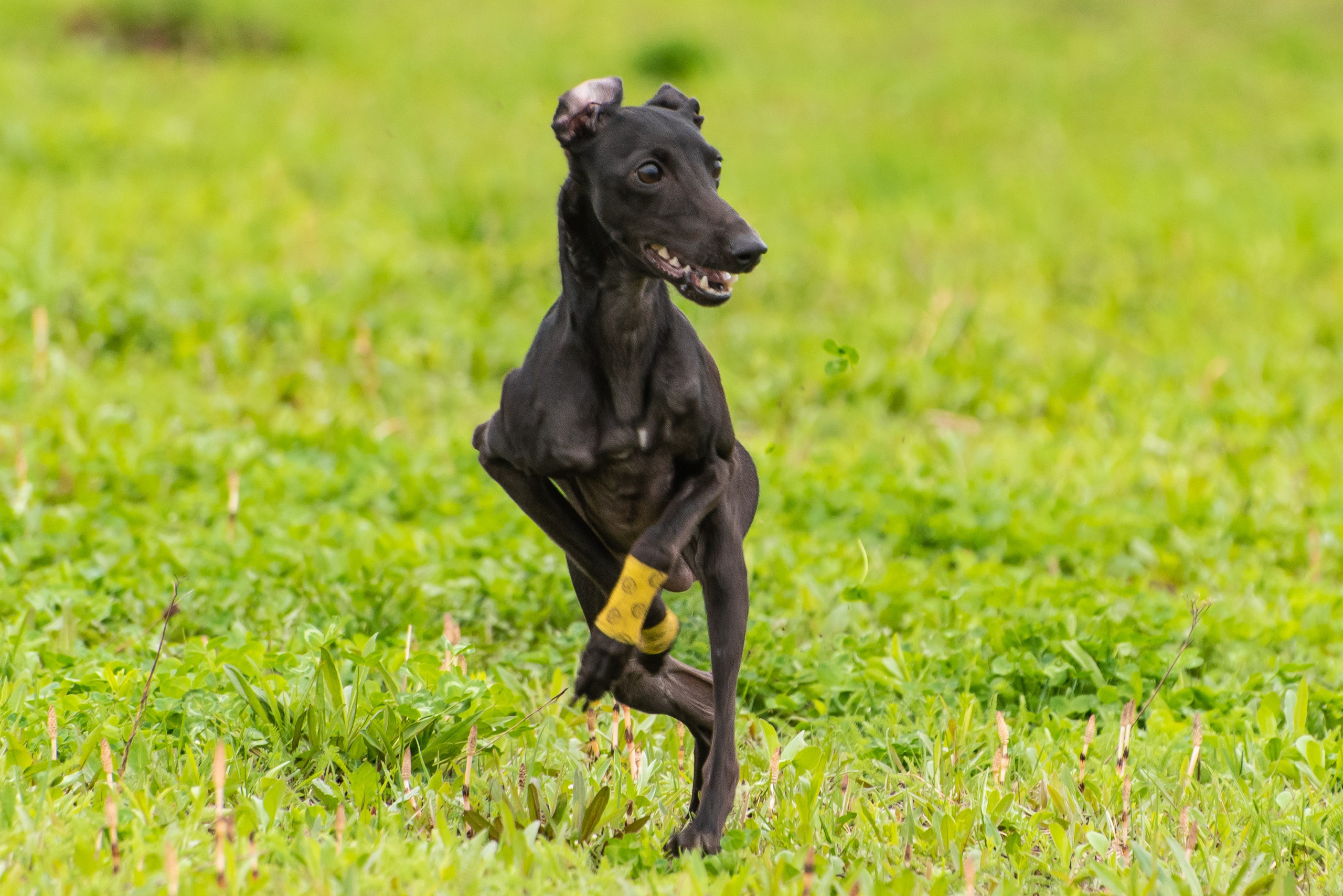 Фотографии с Курсинга. Фотограф Макс Огурцов в Нижнем Новгороде