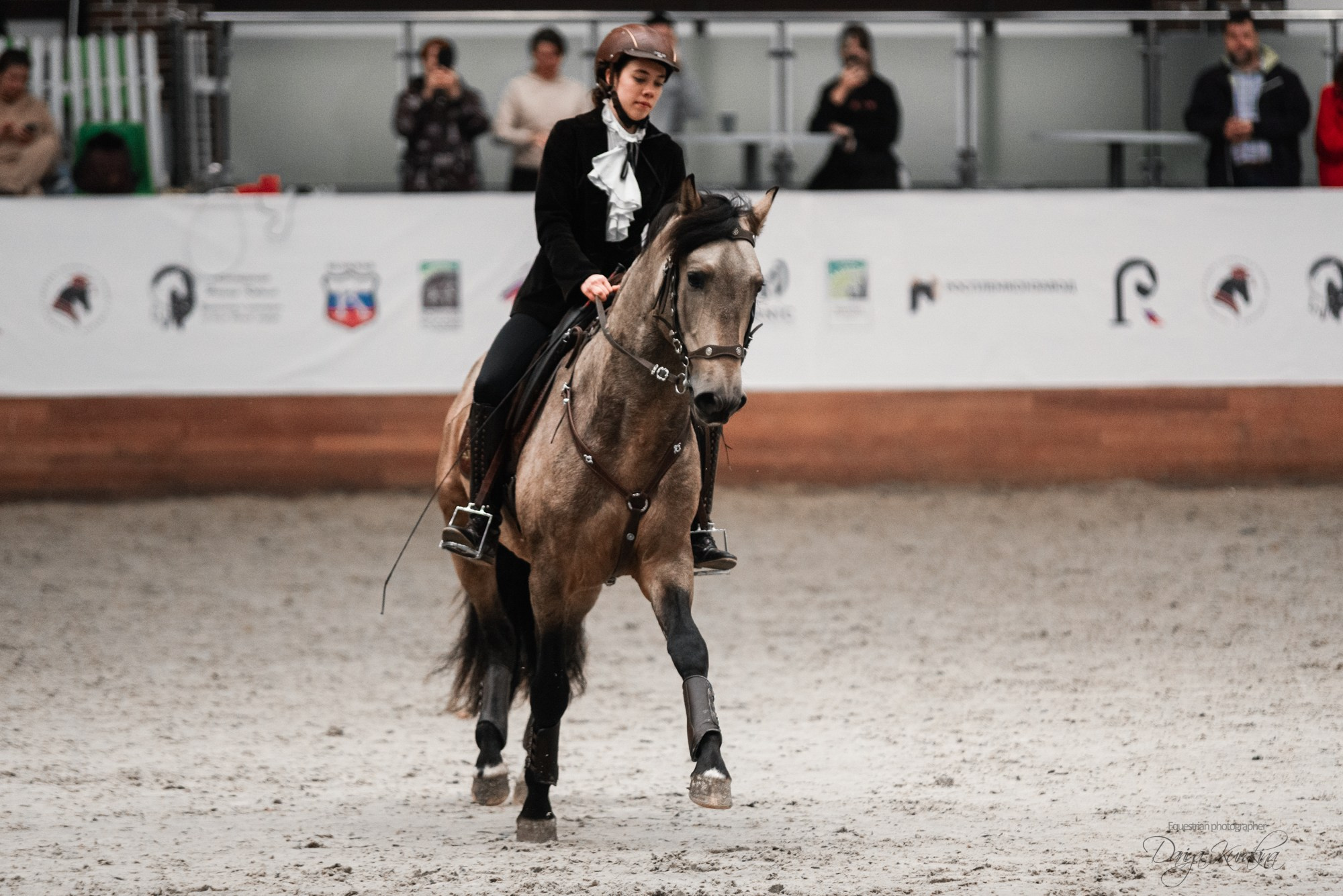 8-я международная выставка Конная Россия. Конный фотограф Куракина Дарья • Фотосессии с лошадьми