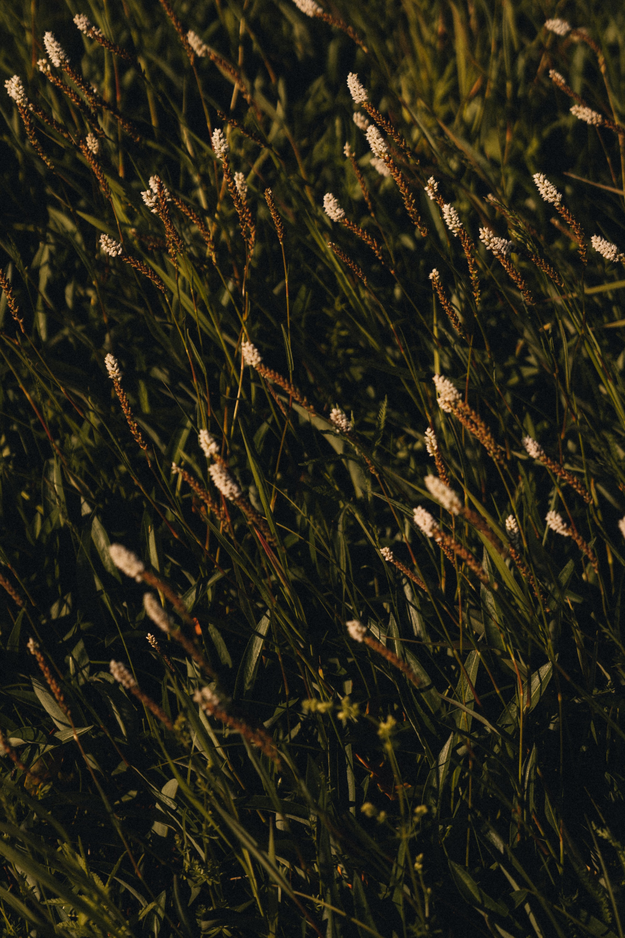 Парные. Фотограф на Камчатке Воронина Ульяна