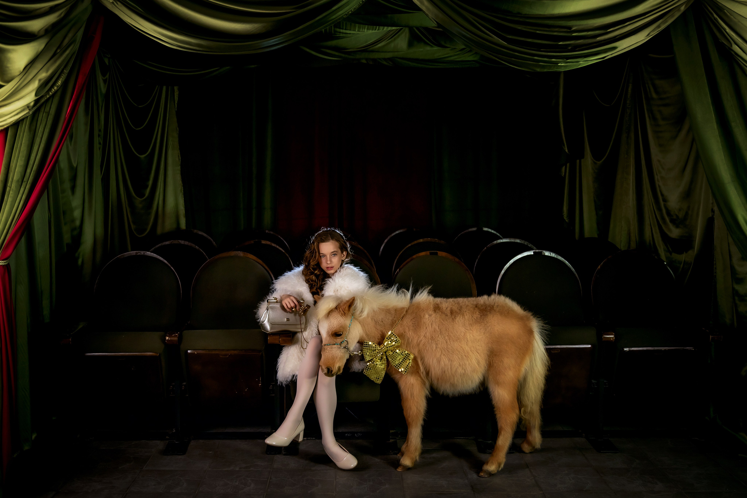 НОВЫЙ ГОД и Рождество в СТУДИЯХ. Фотограф Алина Лебедь