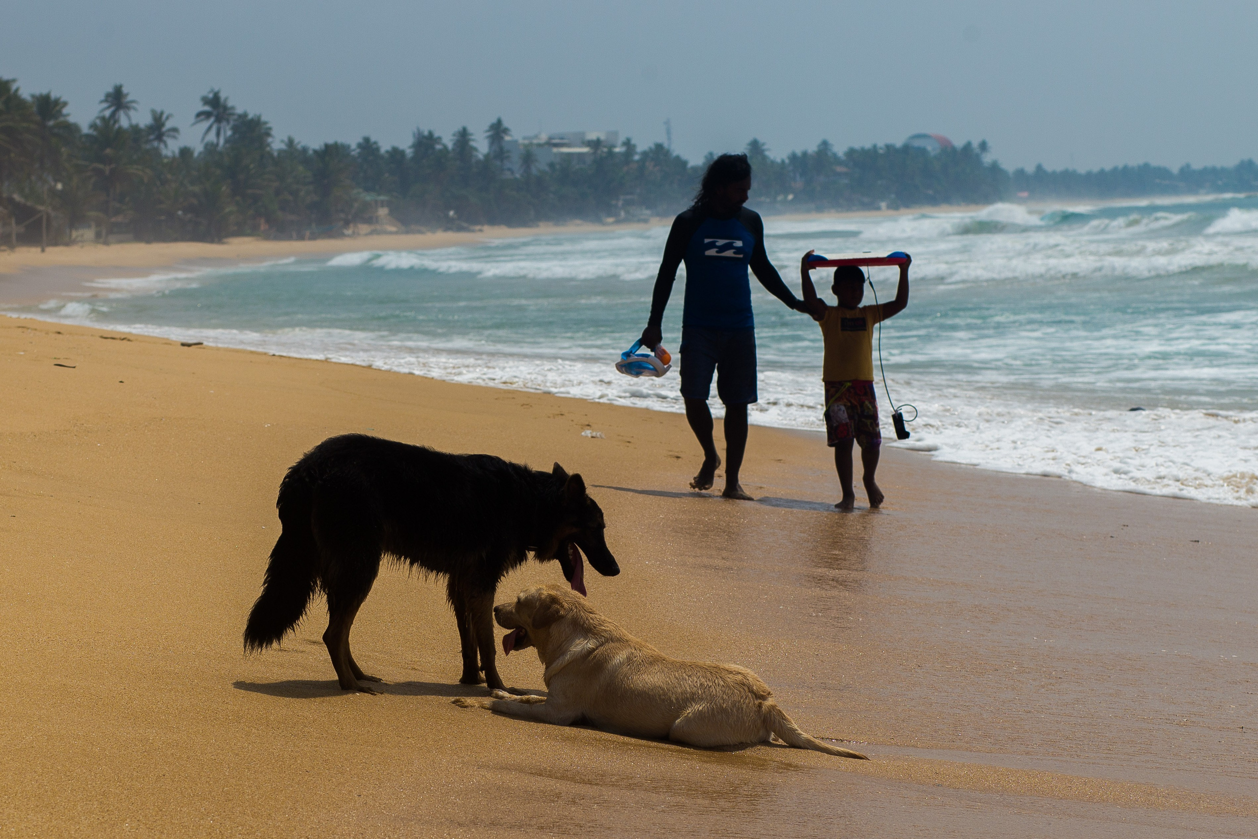 Sri Lanka. Art Photographer