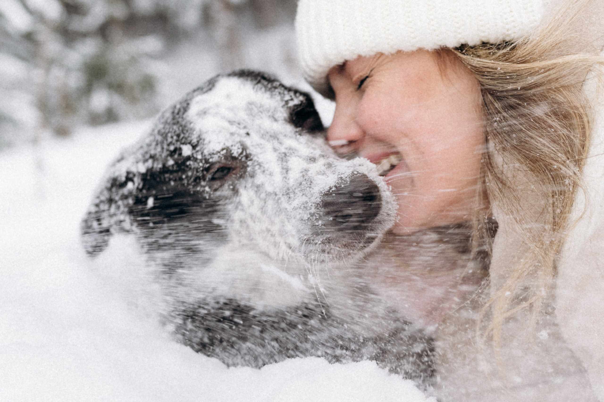 Аня и Милан. Фотограф анималист в Москве Ольга Агушева