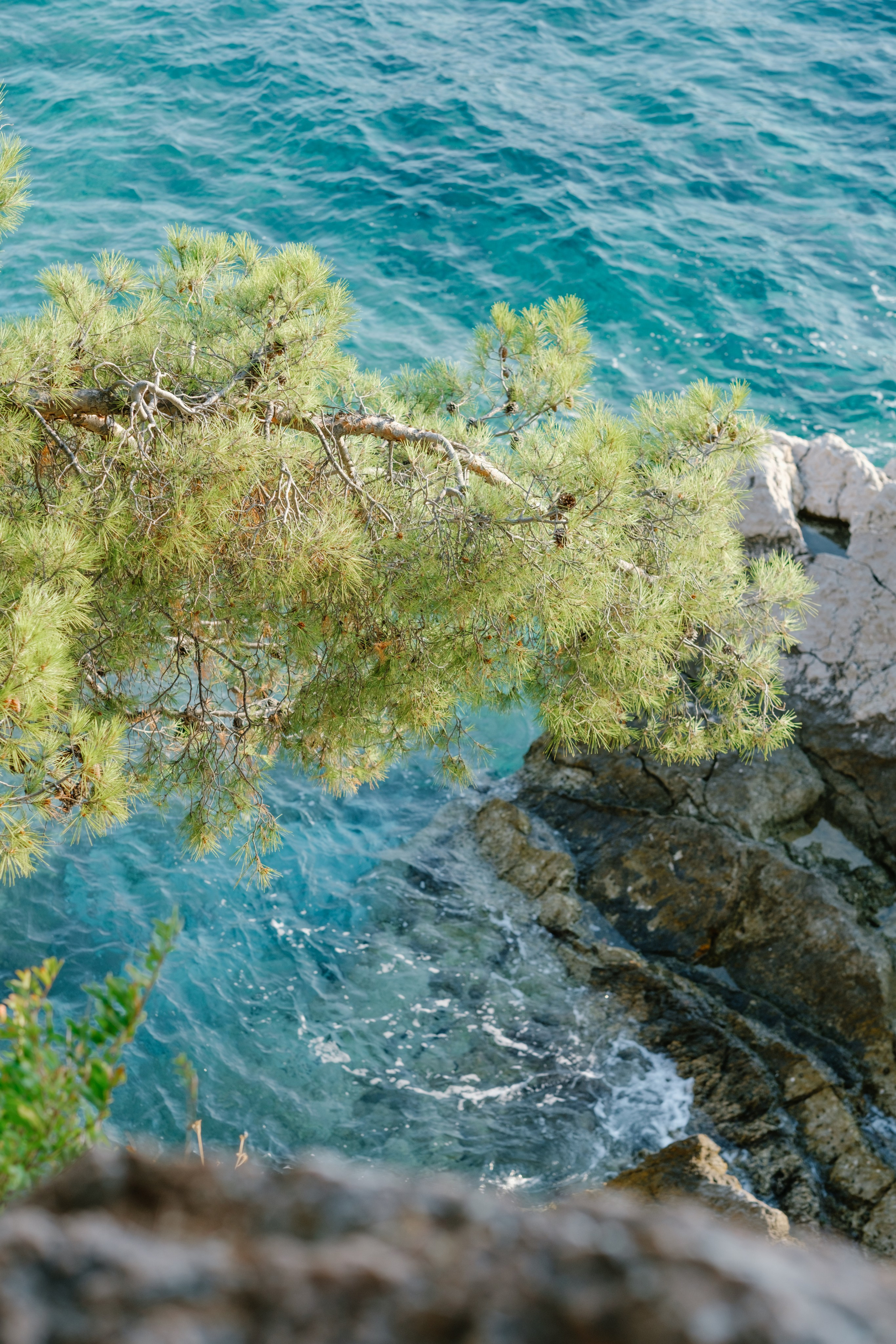 Budva. Свадебный Видеограф Фотограф в Сочи