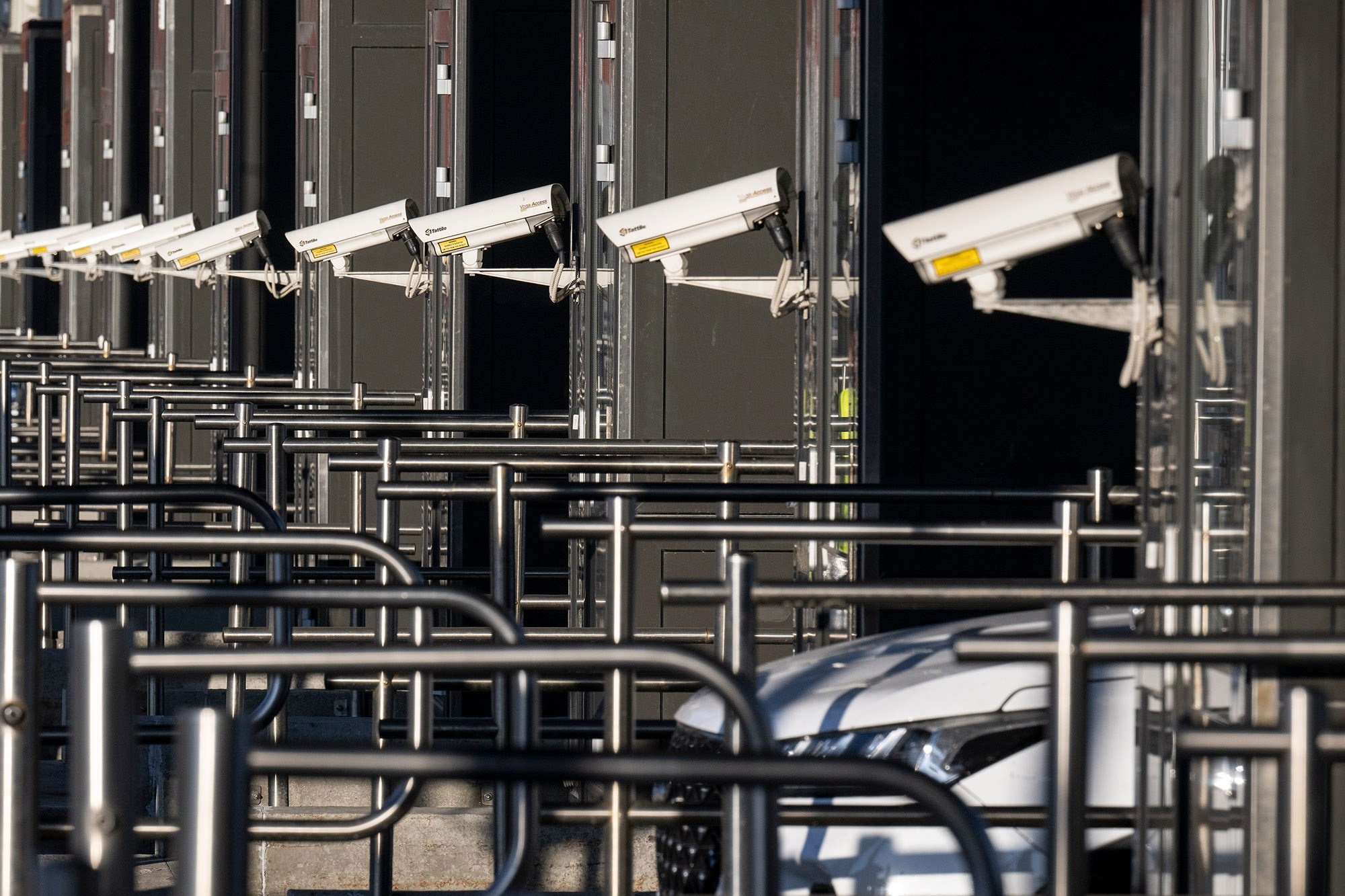 © Natalia Kolesnikova