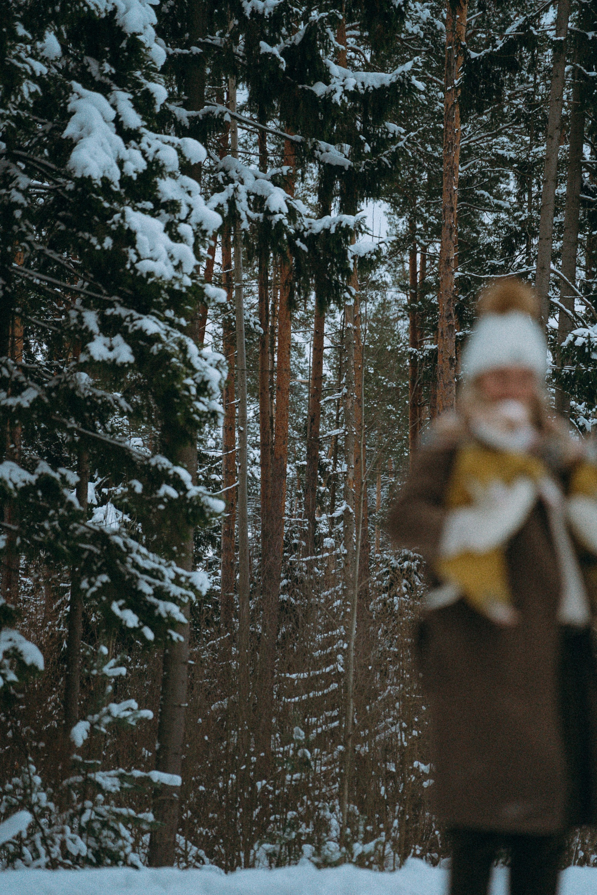Алина, Ваниль и Элис. Фотограф анималист в Москве и Санкт-Петербурге Свиридова Анна
