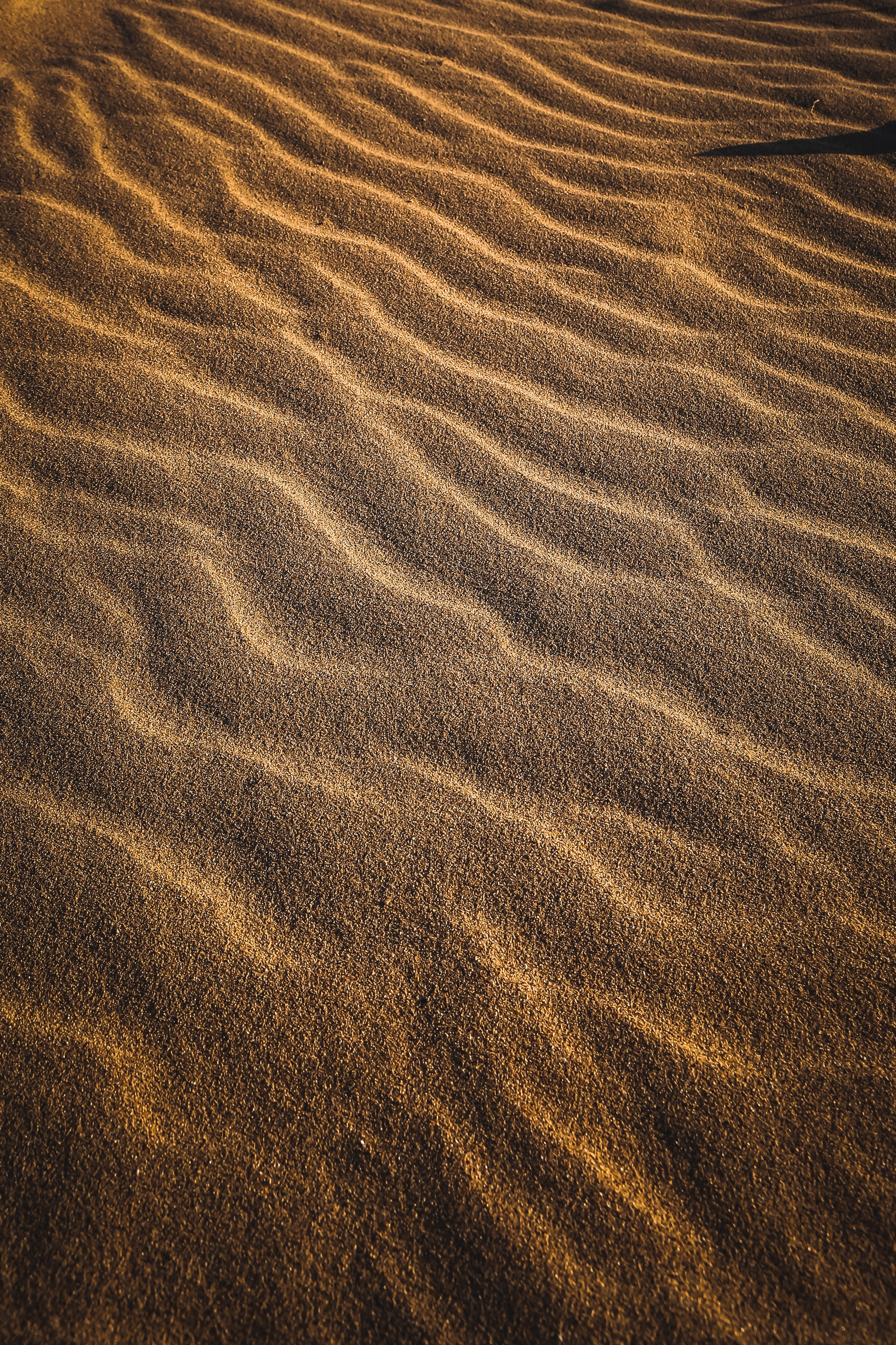 Кавказ: многоликий Дагестан. Дарья Письменюк / Darya Leitstern — фотограф, музыкант, журналист, путешественник