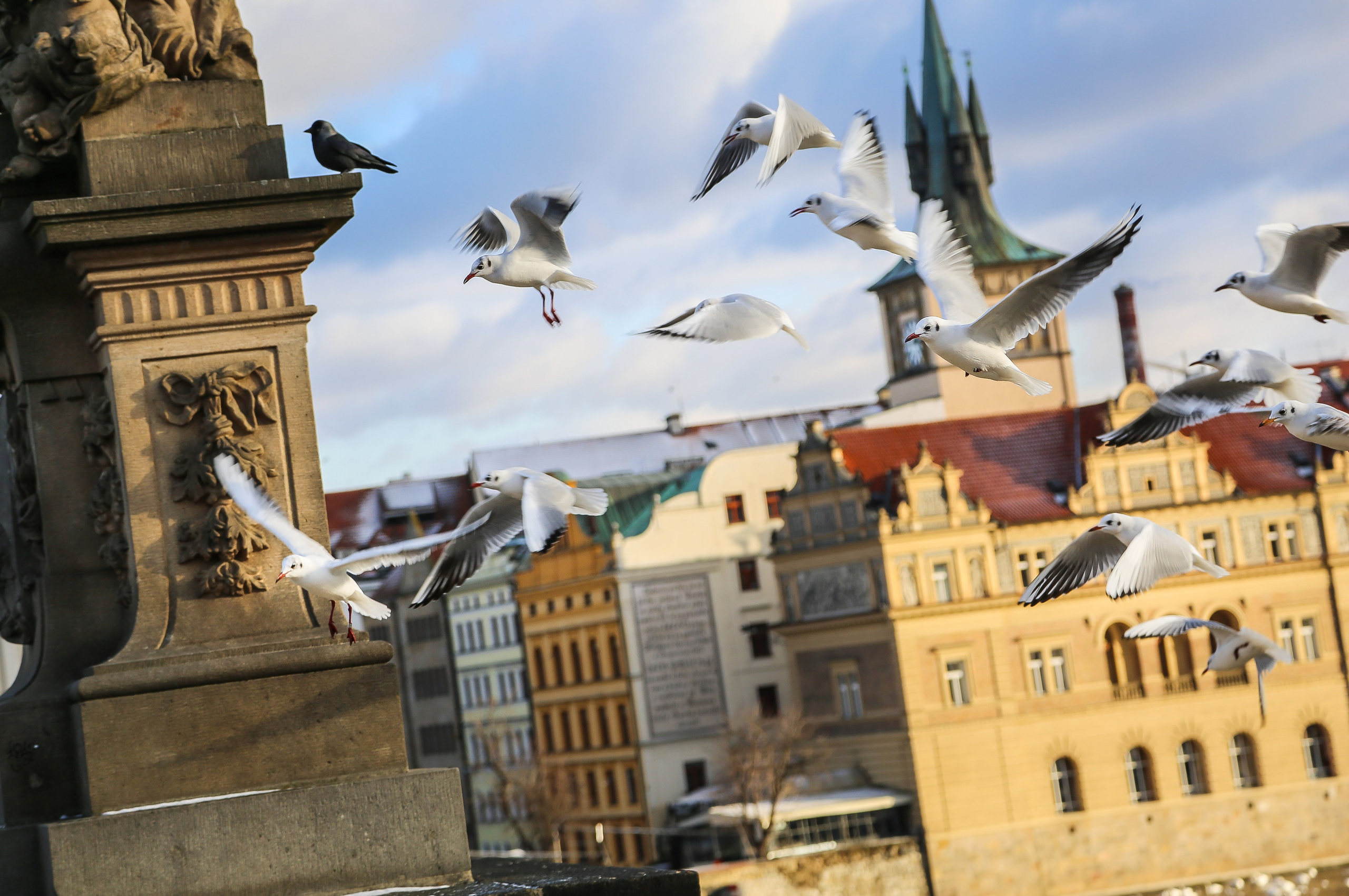 Чехия: Прага. Дарья Письменюк / Darya Leitstern — фотограф, музыкант, журналист, путешественник