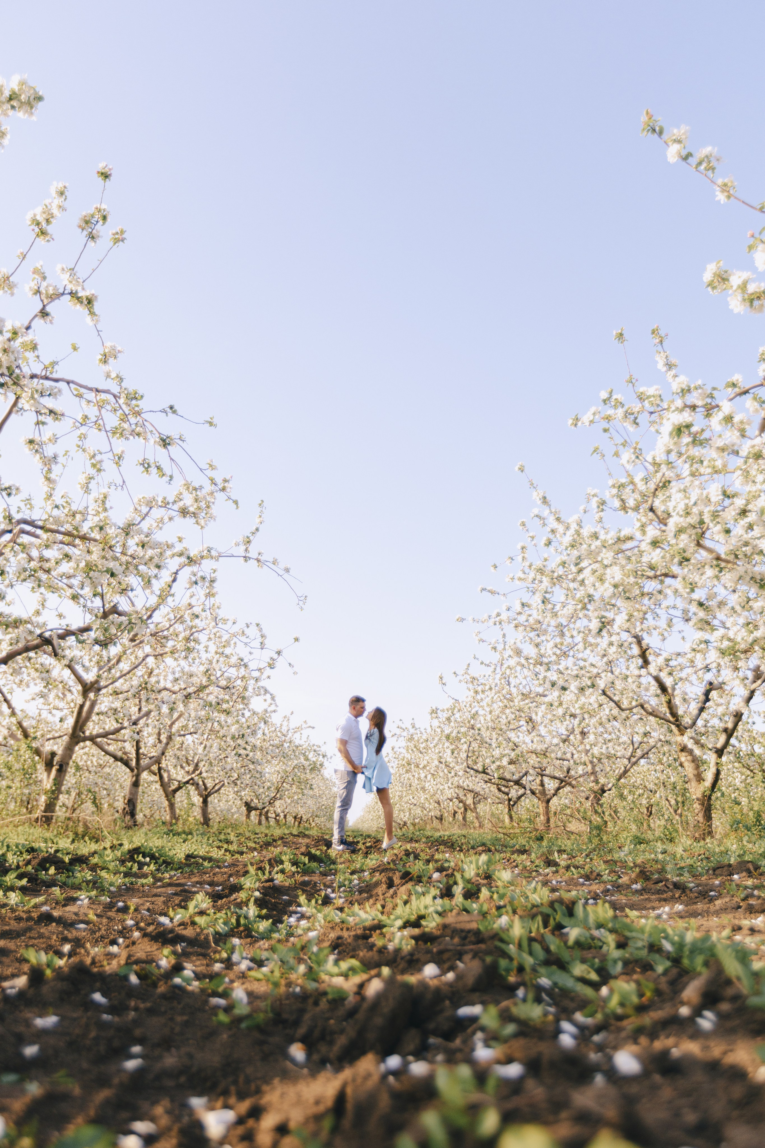 Катя и Виталий. Фотограф Таганрог Любимая Надя