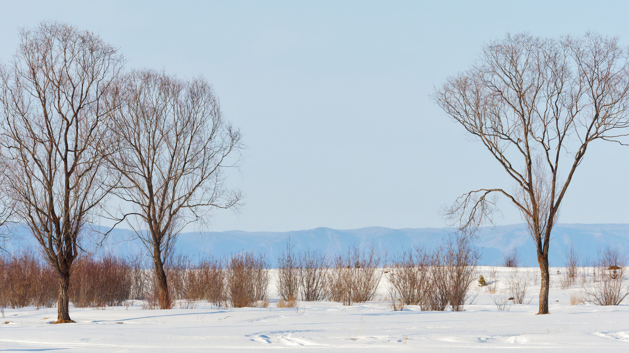 Владимир Альбов — фотографирую!
