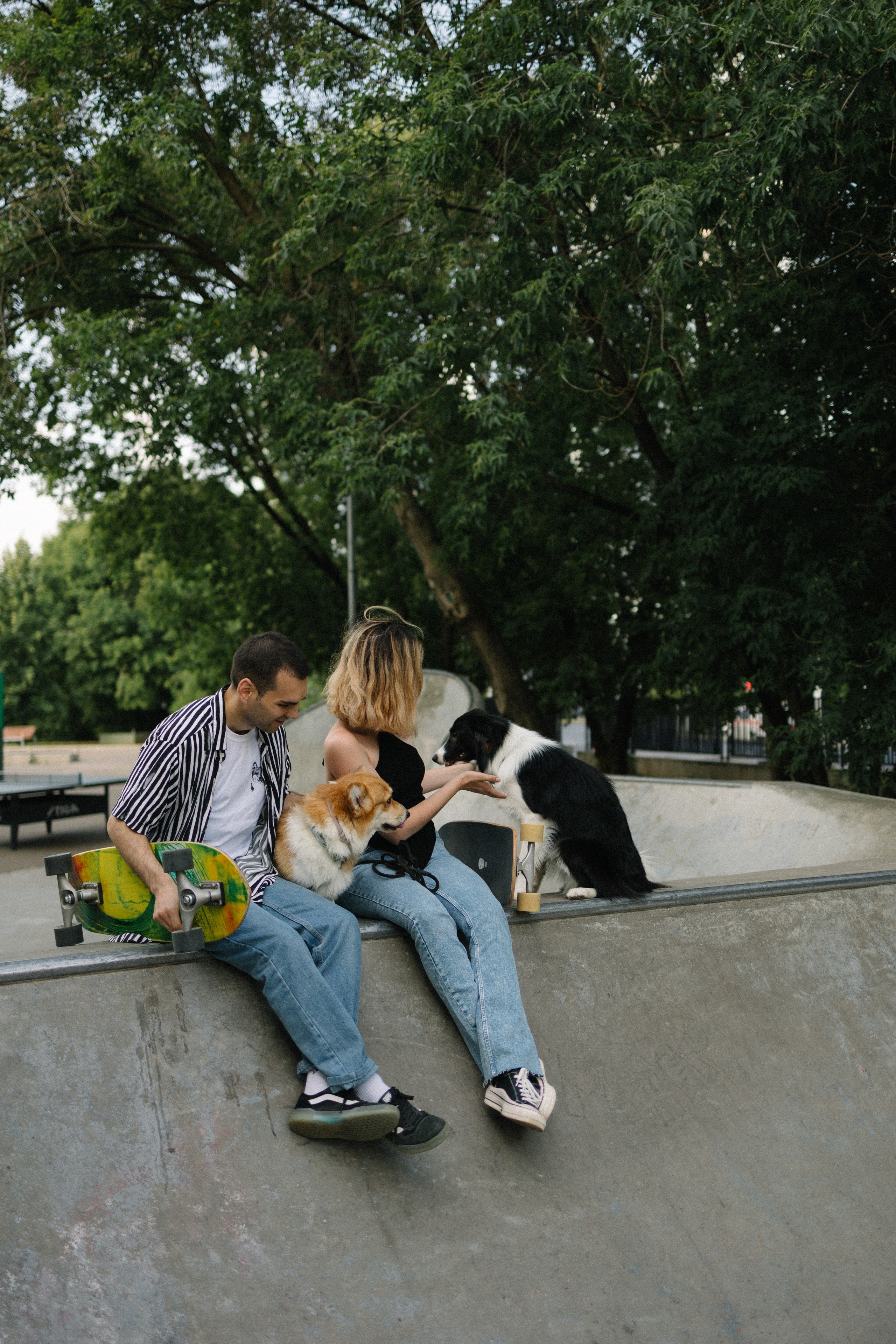 Брюс, Вейв и их ро. Фотораф — анималист Мария Шистка