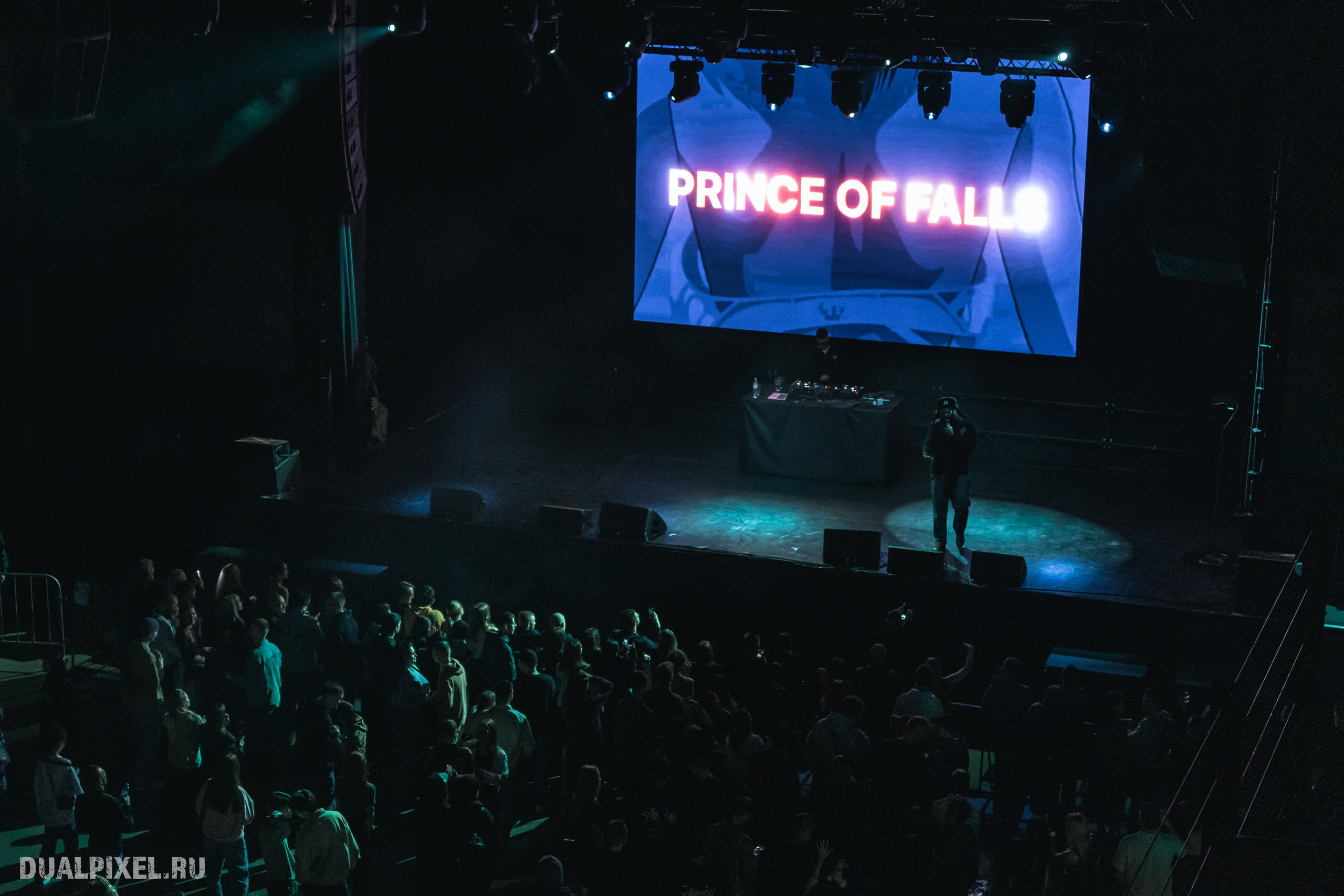 Prince Of Falls. Магия музыки в кадре: Концертная Фотография