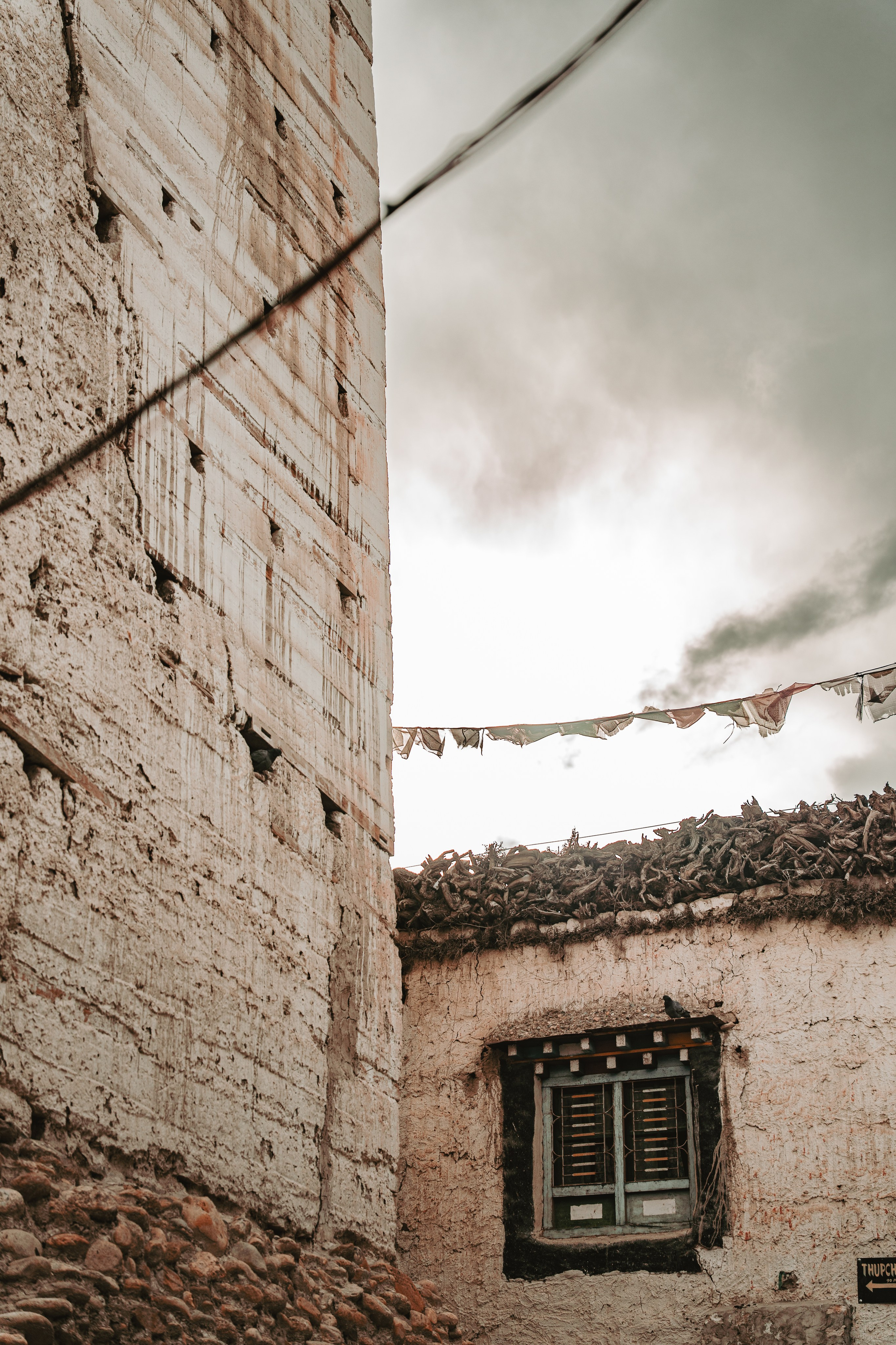 Королевство Мустанг. Dmitry Ippolitov