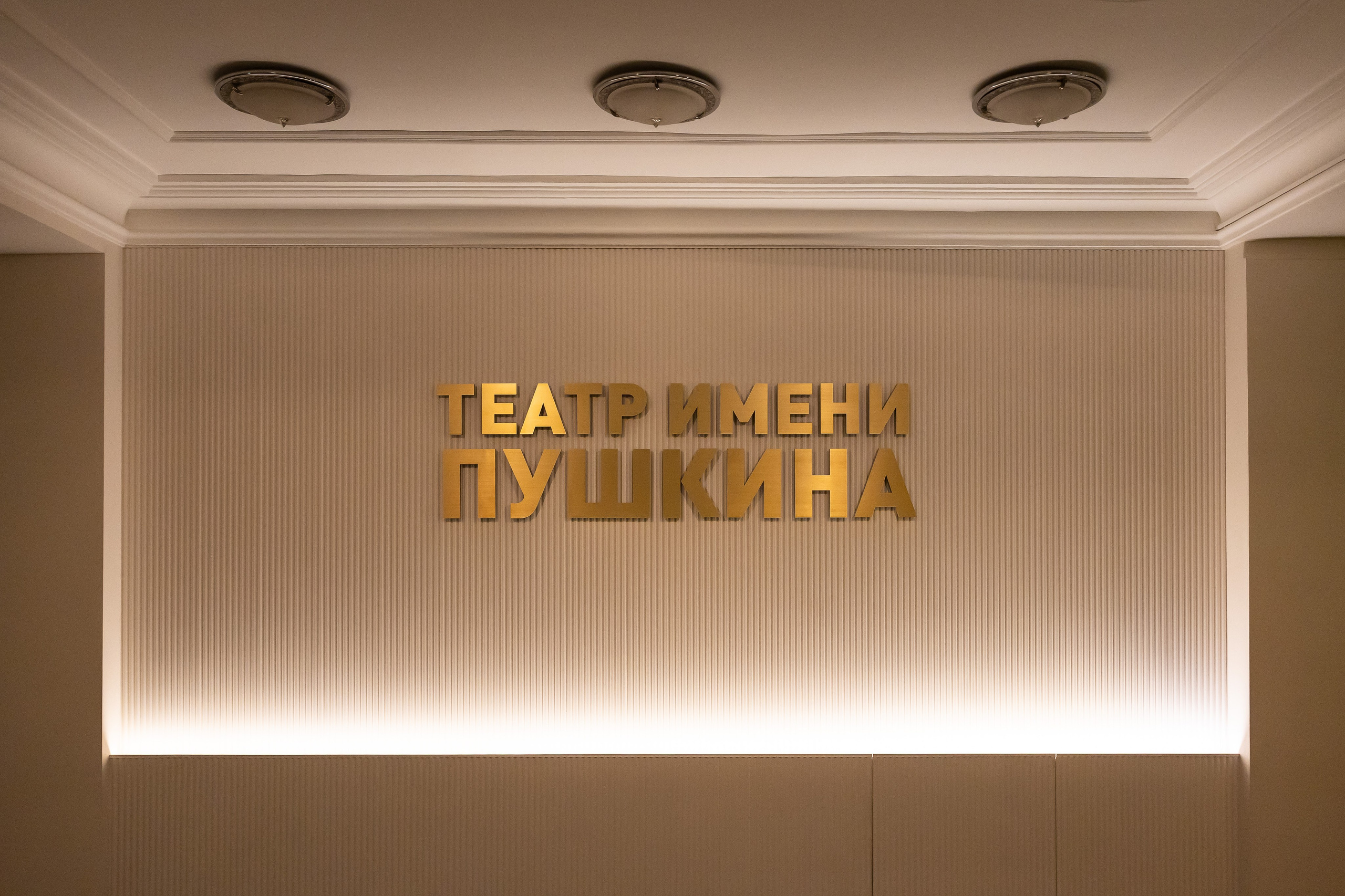 Ночь театров — Театр Пушкина. Фотограф Владимир Охрименко