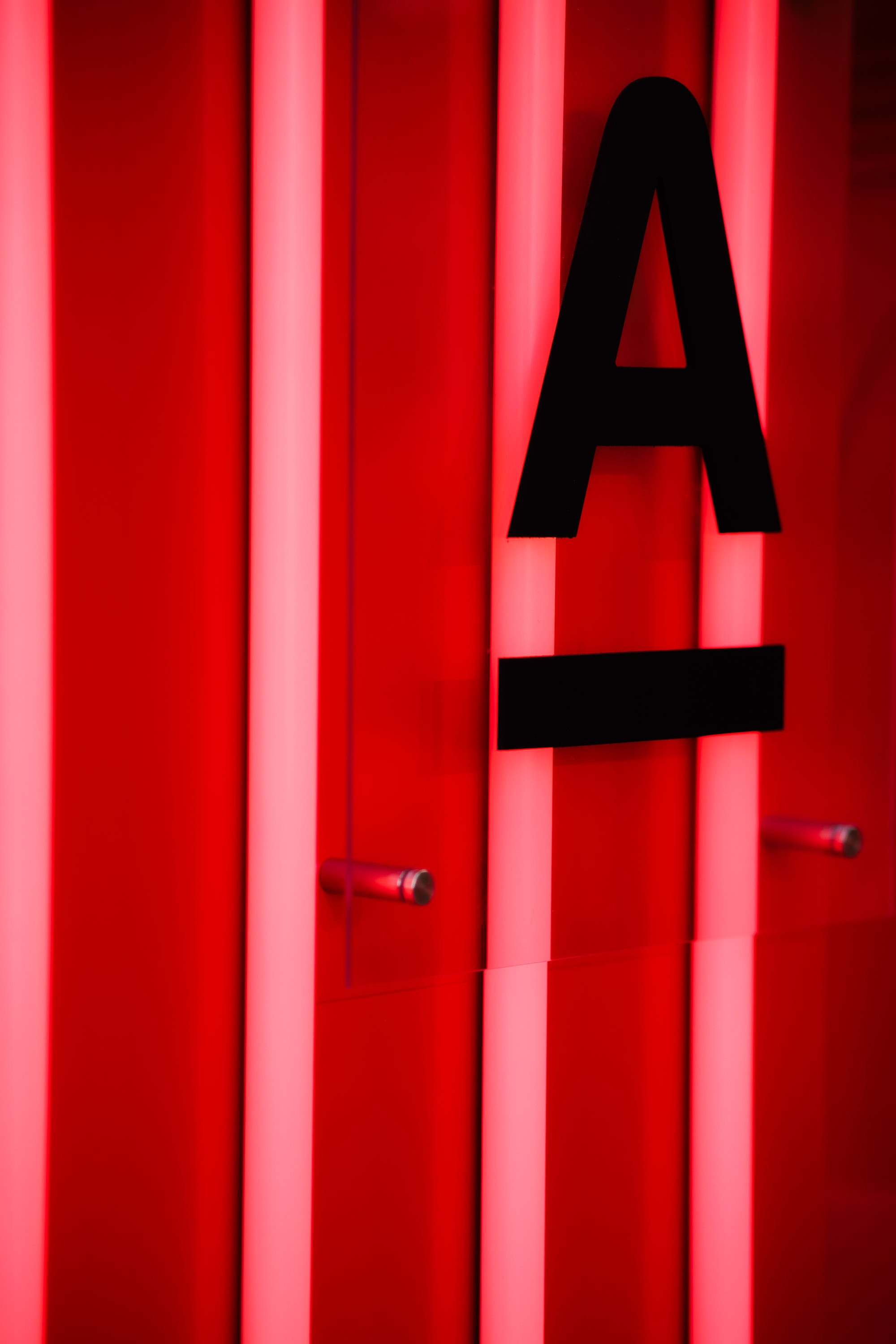 ALFA BANK | SPIEF 2026. Репортажный фотограф в Санкт-Петербурге Александр Паклин
