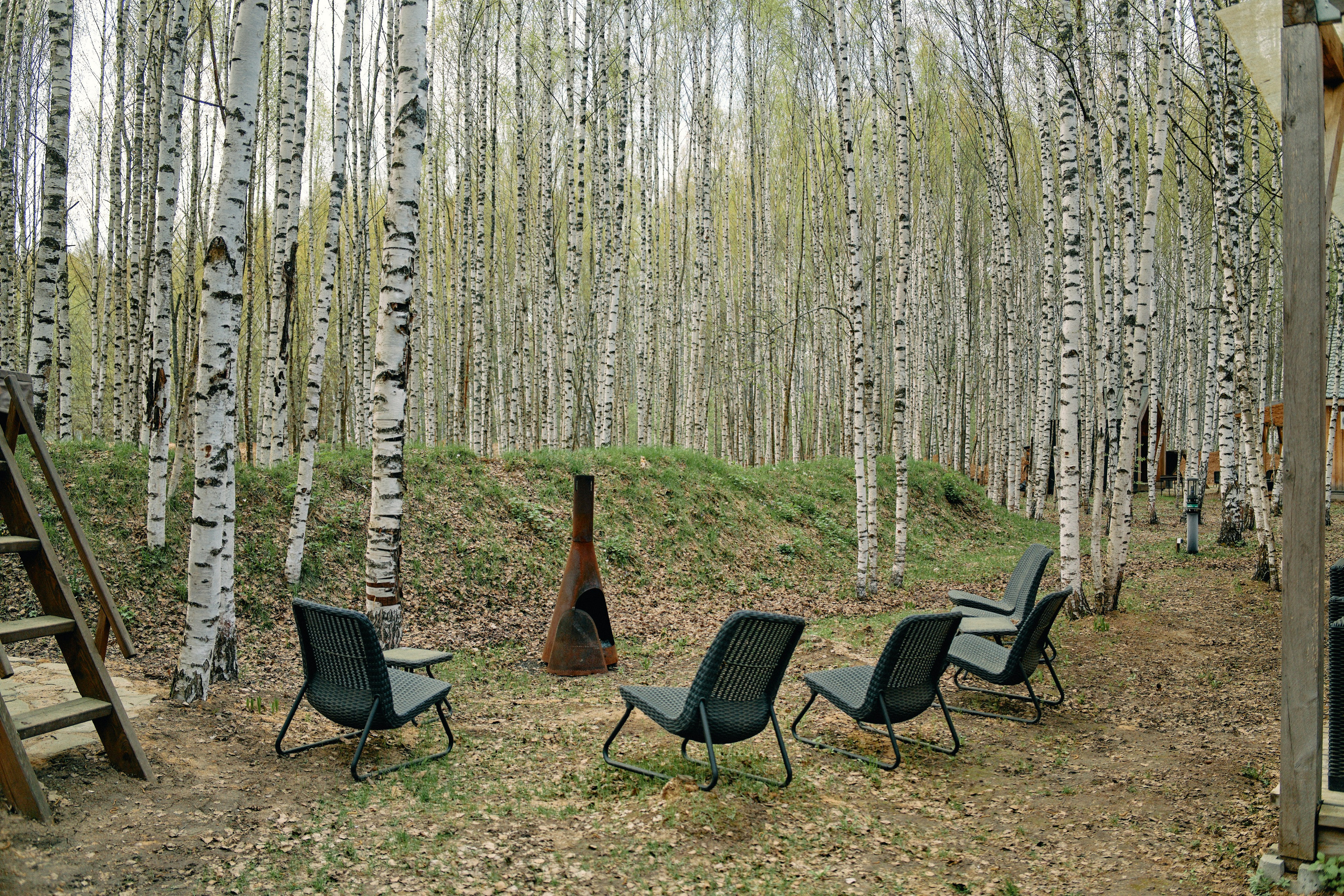 Бутик-отель Поле летом. Профессиональный Фотограф во Владимире, в Москве и в Суздале — Полина Романычева